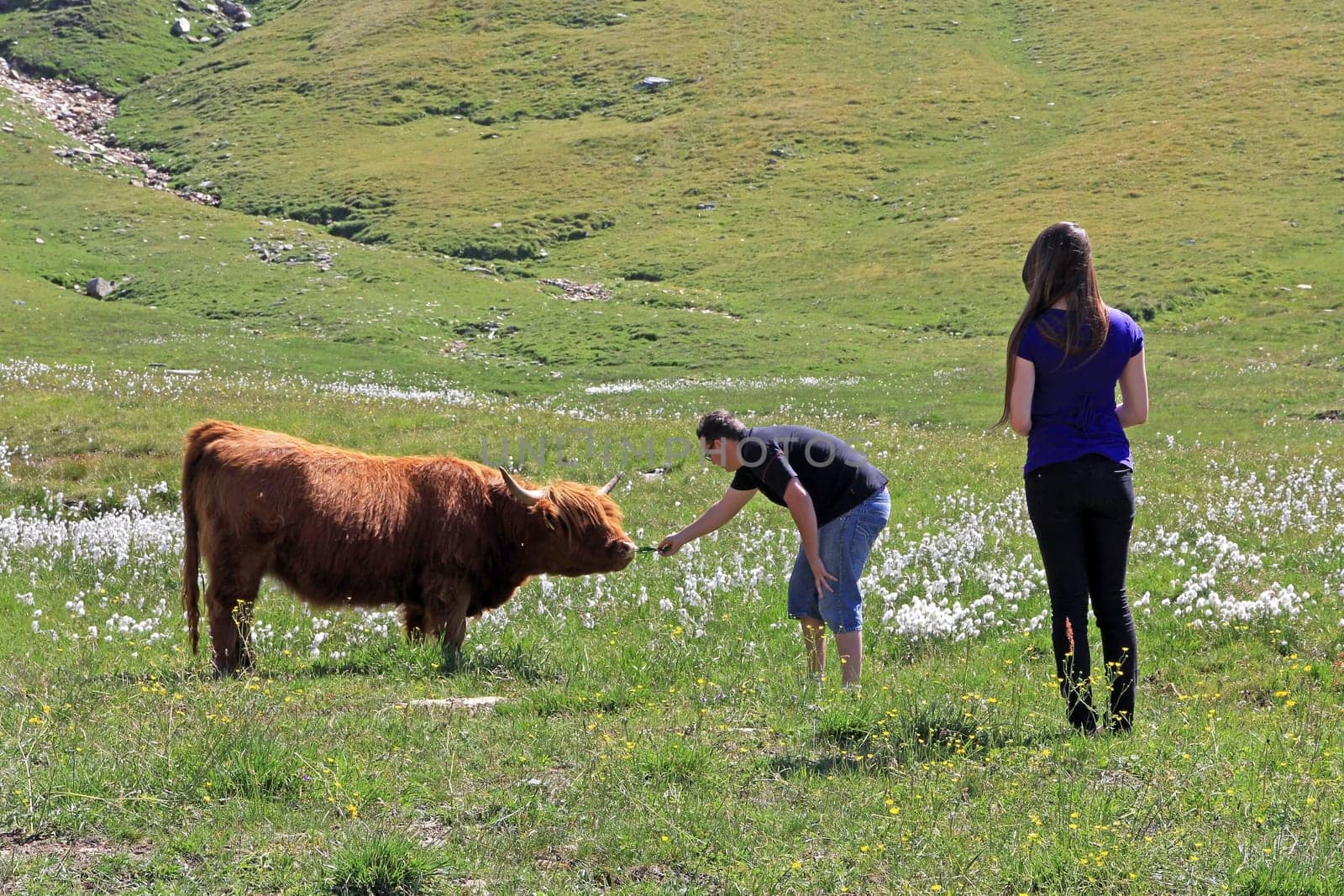 Feeding
