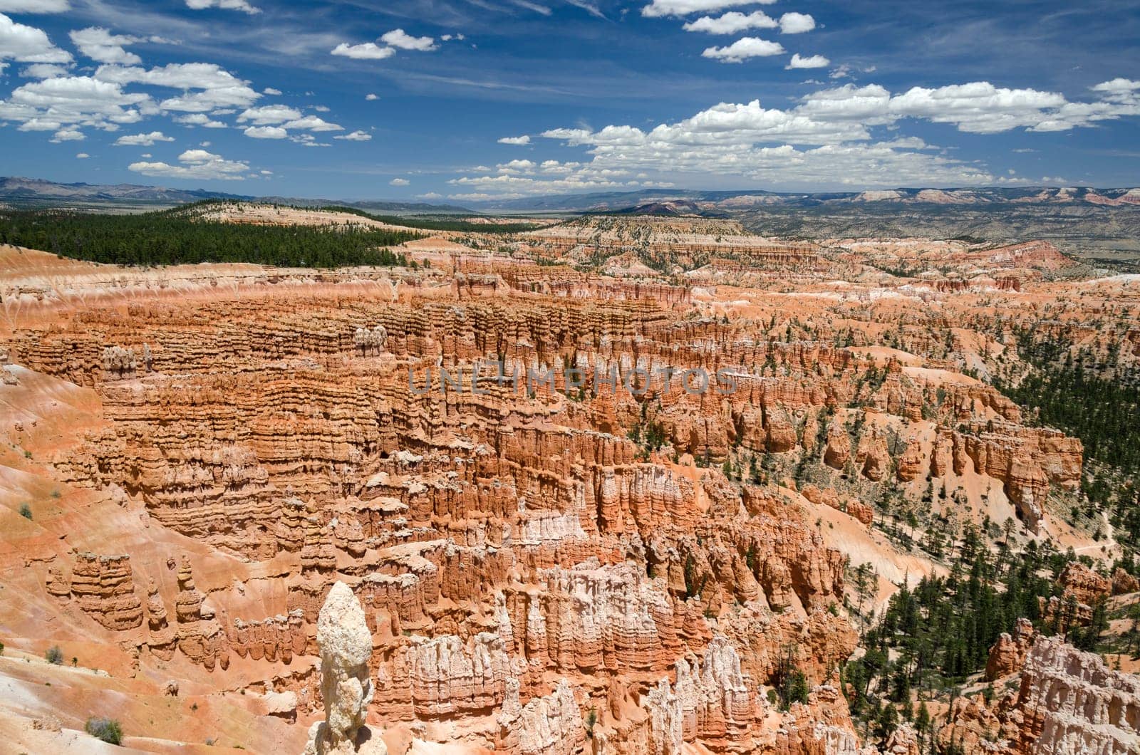 Bryce Canyon National Park in Utah in the United States of America