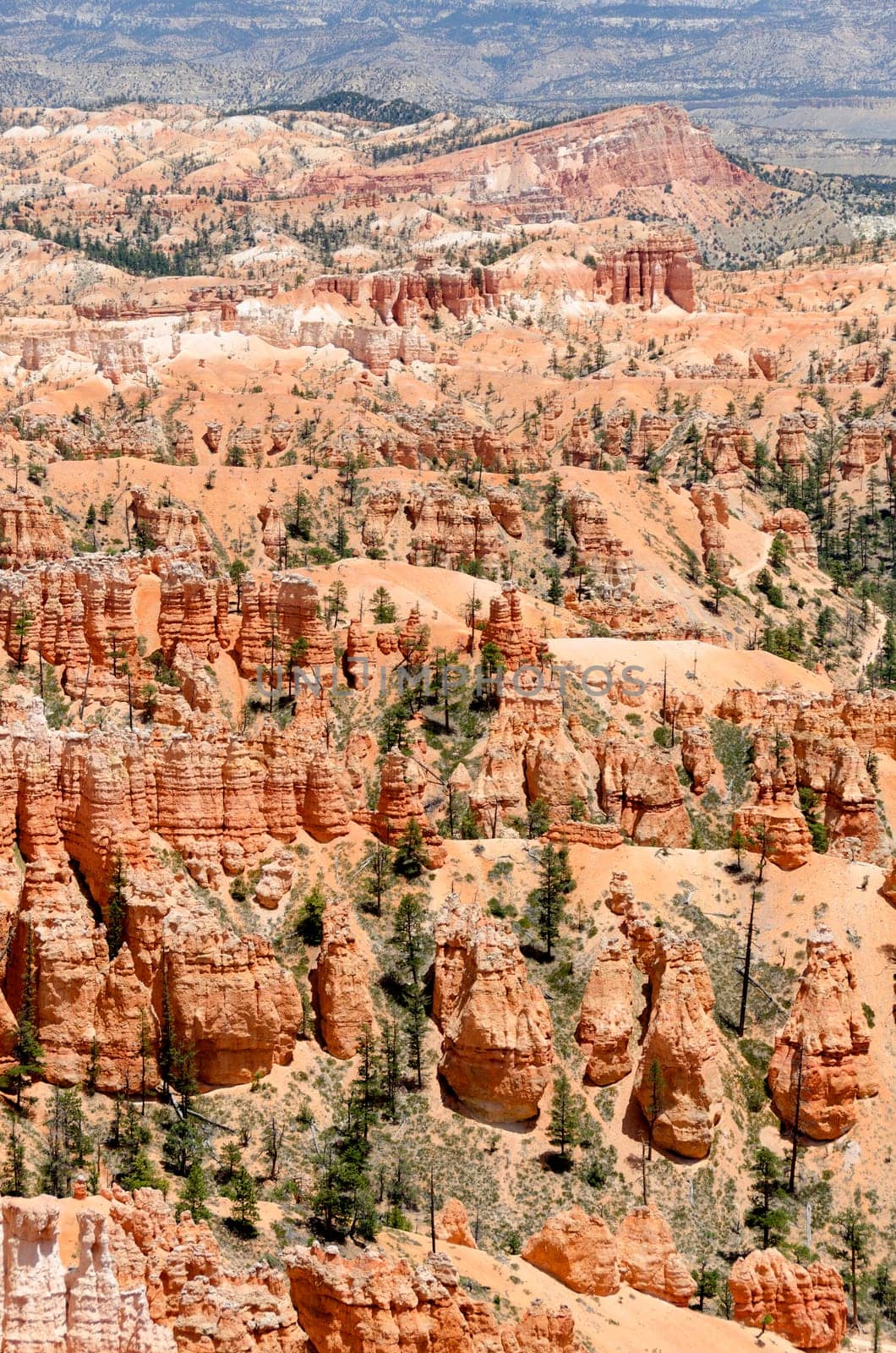 Bryce Canyon National Park in Utah in the United States of America