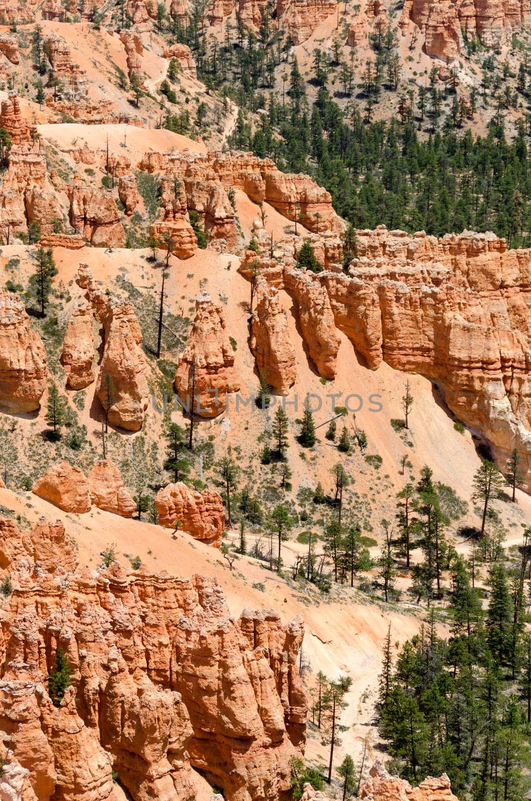 Bryce Canyon National Park in Utah in the United States of America