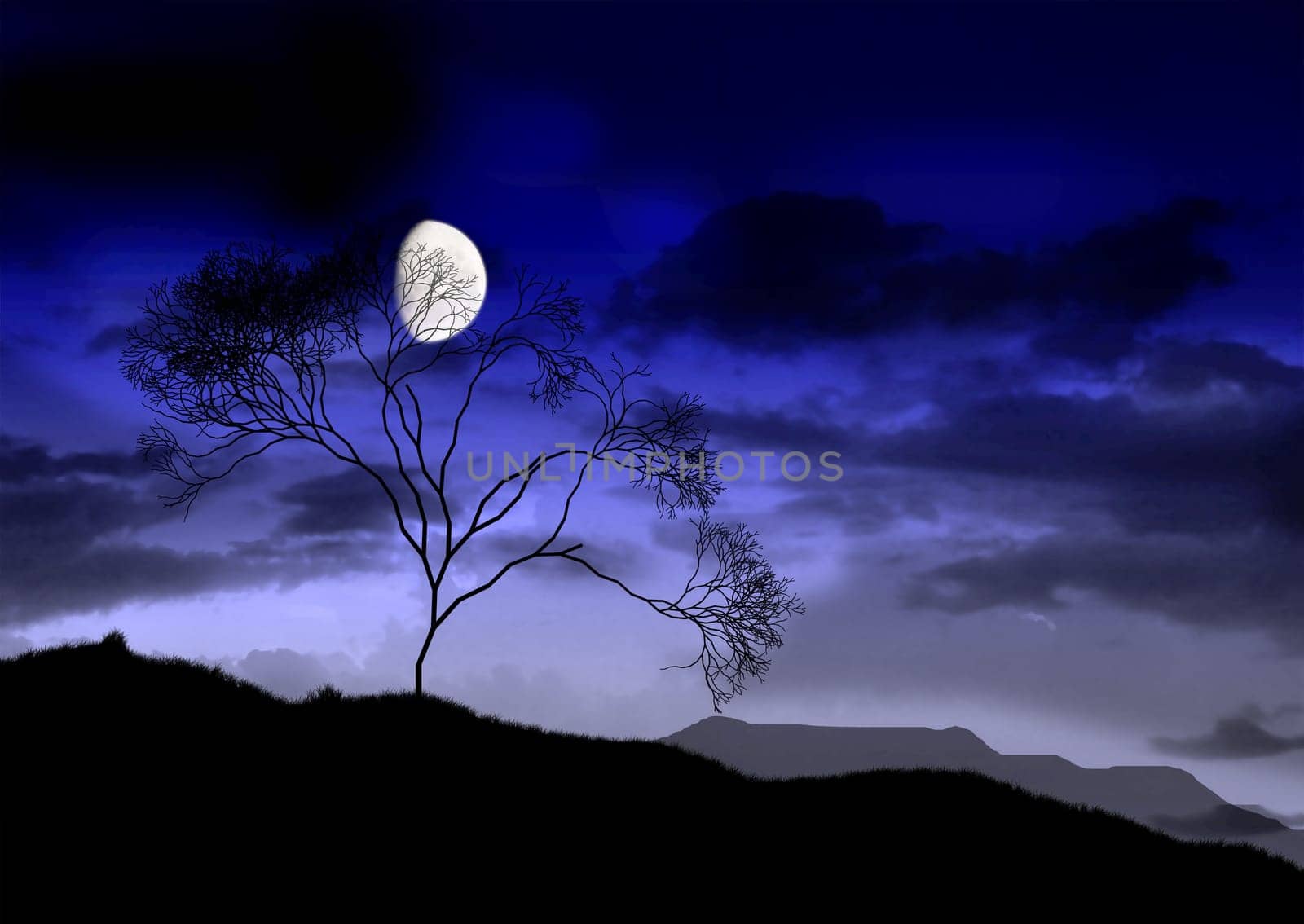 The full bright moon.