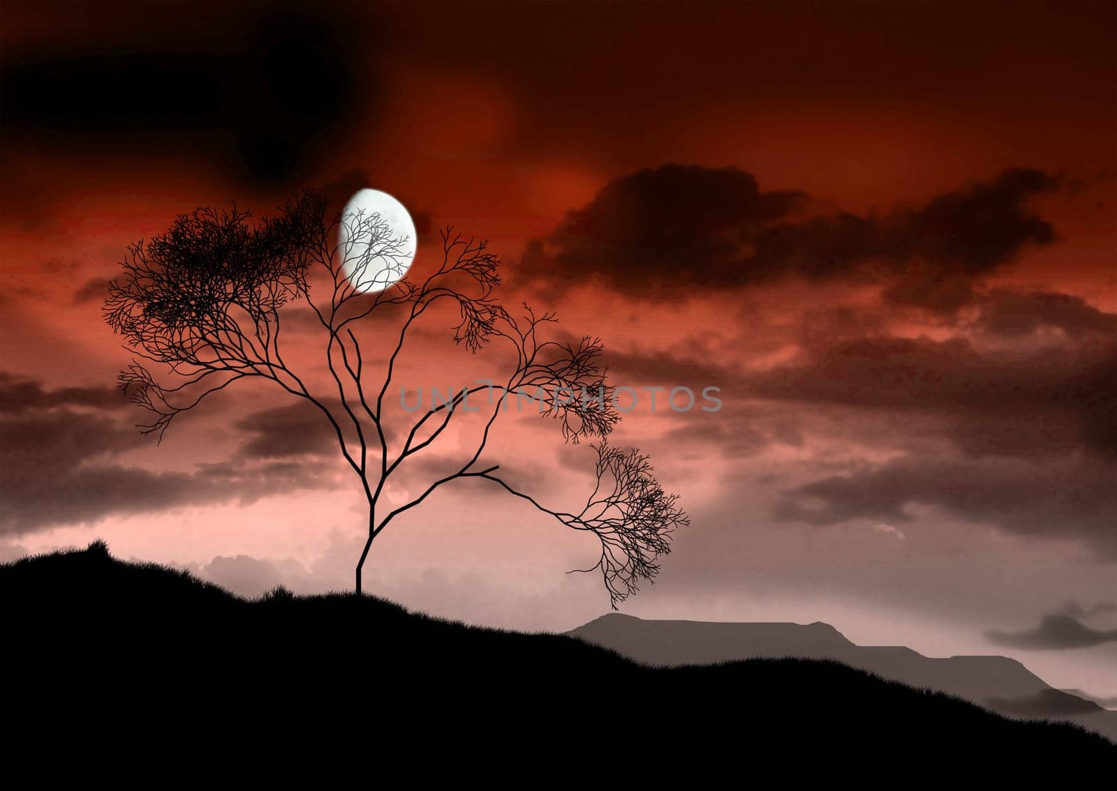 The full bright moon.