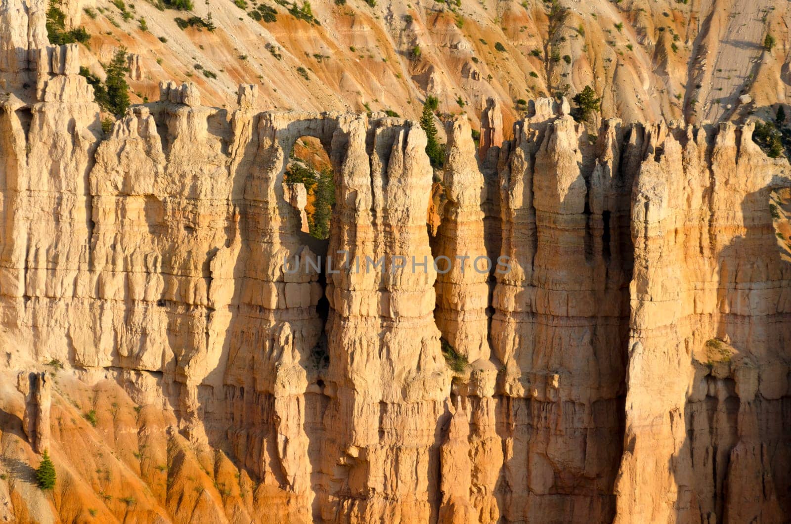 Bryce Canyon National Park in Utah in the United States of America
