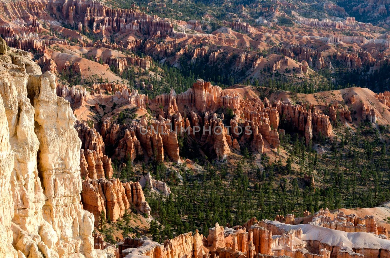 Bryce Canyon National Park in Utah in the United States of America