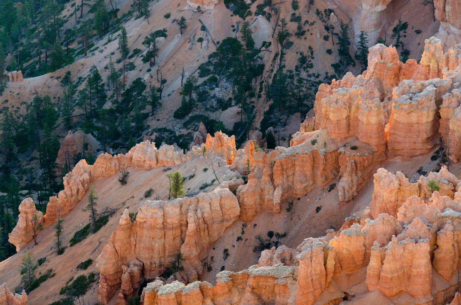 Bryce Canyon National Park in Utah in the United States of America