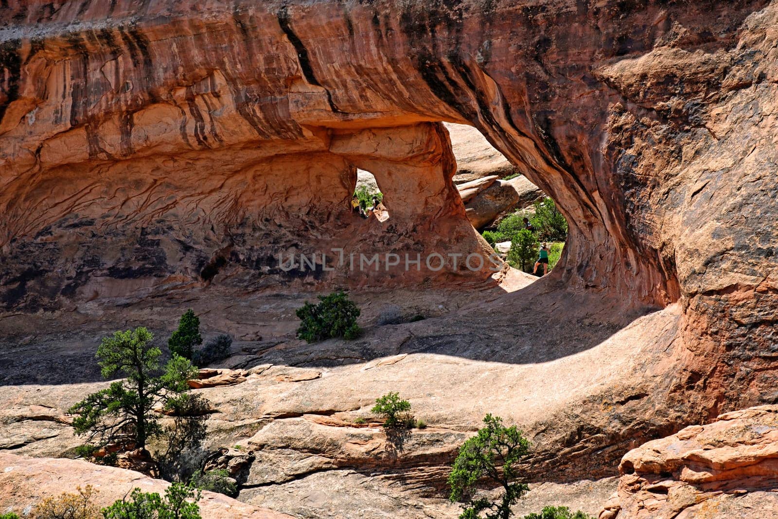Arches National Park Devils Garden,Moab,Utah,USA