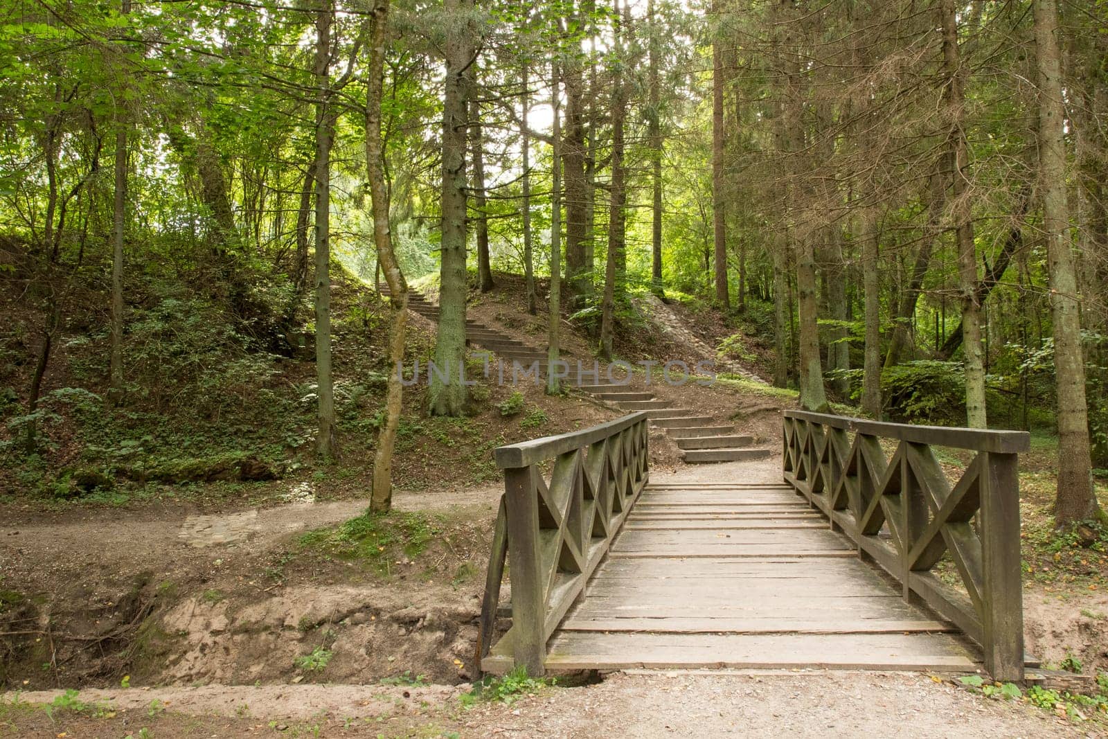 Path with wooden bridge and stairs in the green forest