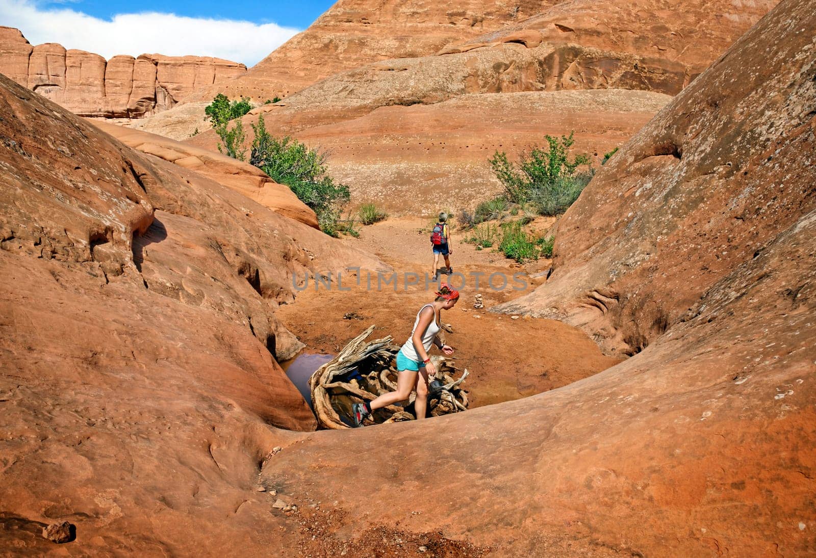 Arches National Park Devils Garden,Moab,Utah,USA