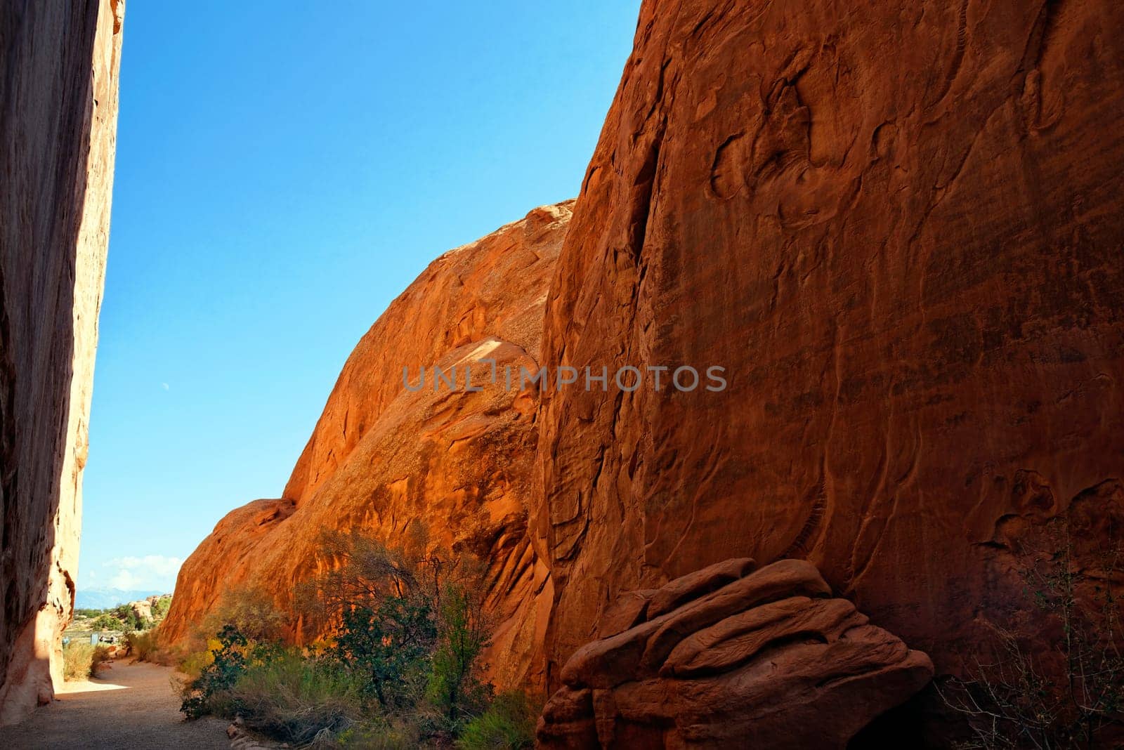 Arches National Park Devils Garden,Moab,Utah,USA