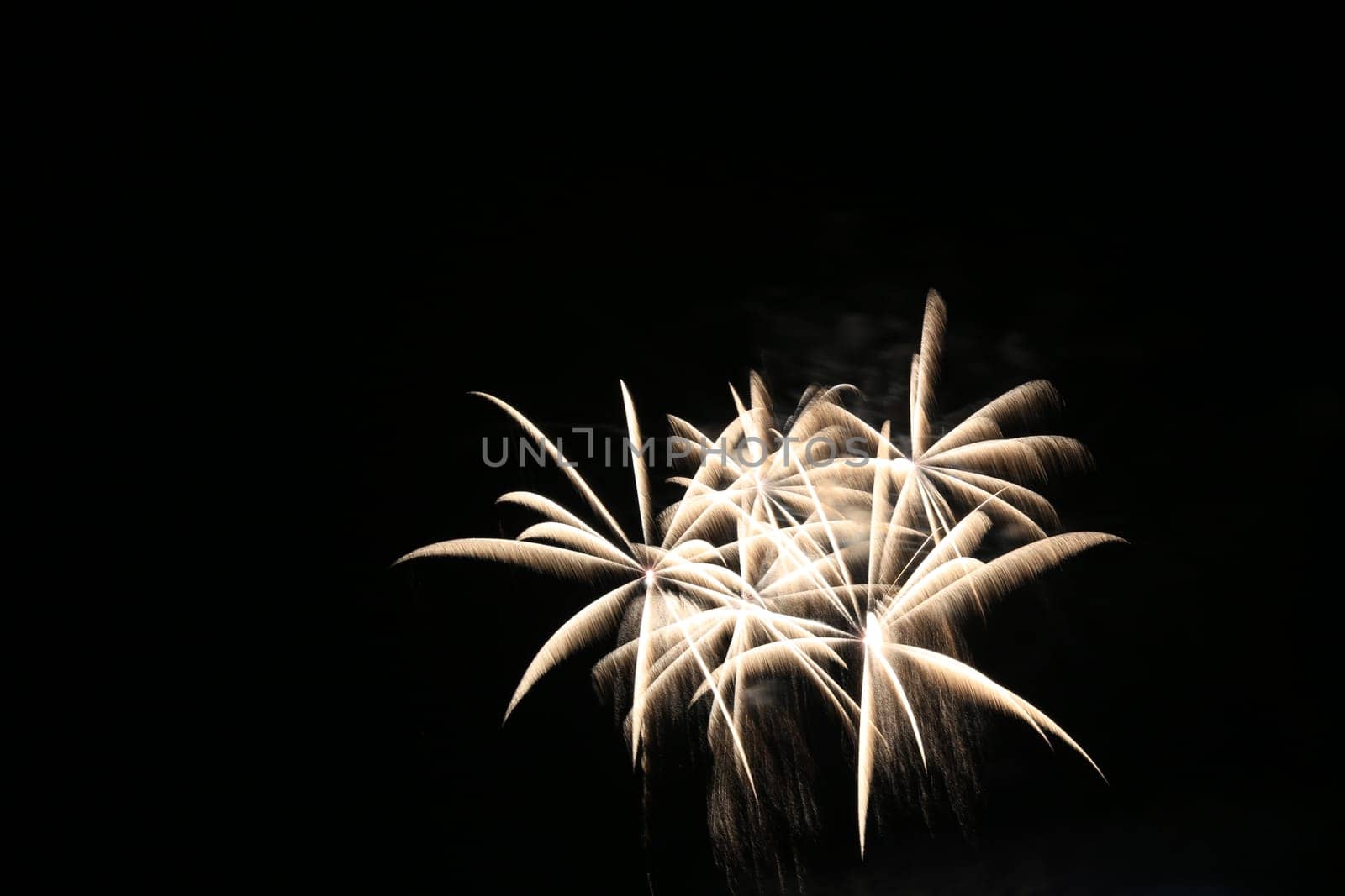 Fireworks scene in the dark