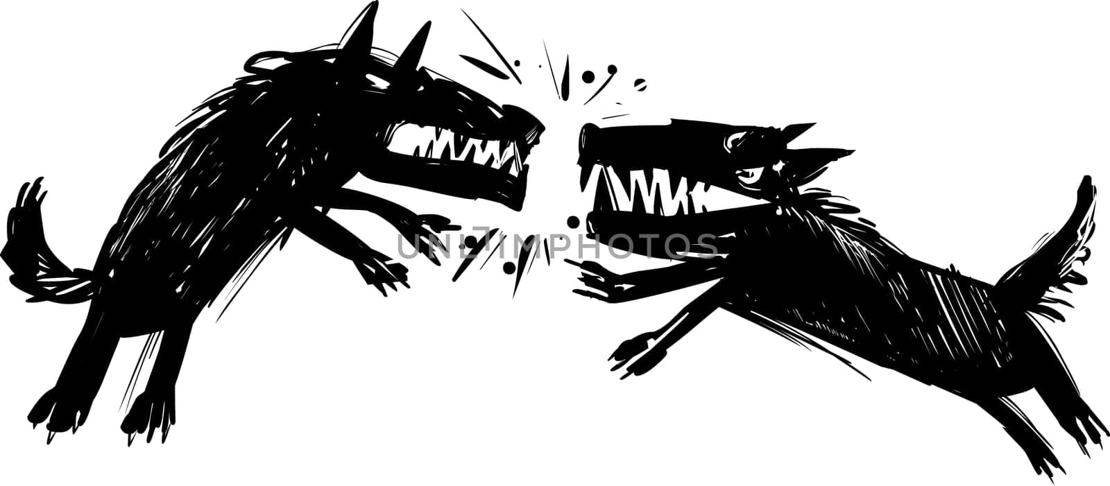 Illustration of Two Angry Fighting Wolves Baring their Teeth