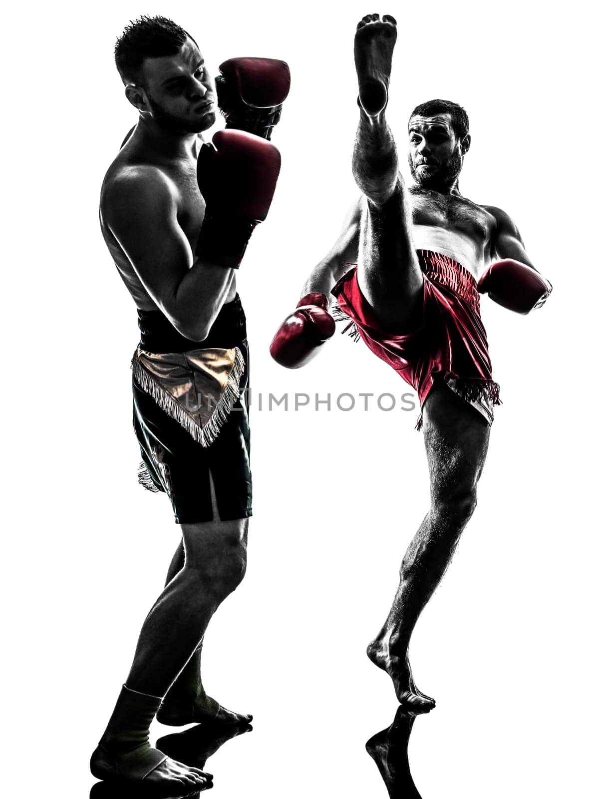 two caucasian  men exercising thai boxing in silhouette studio  on white background