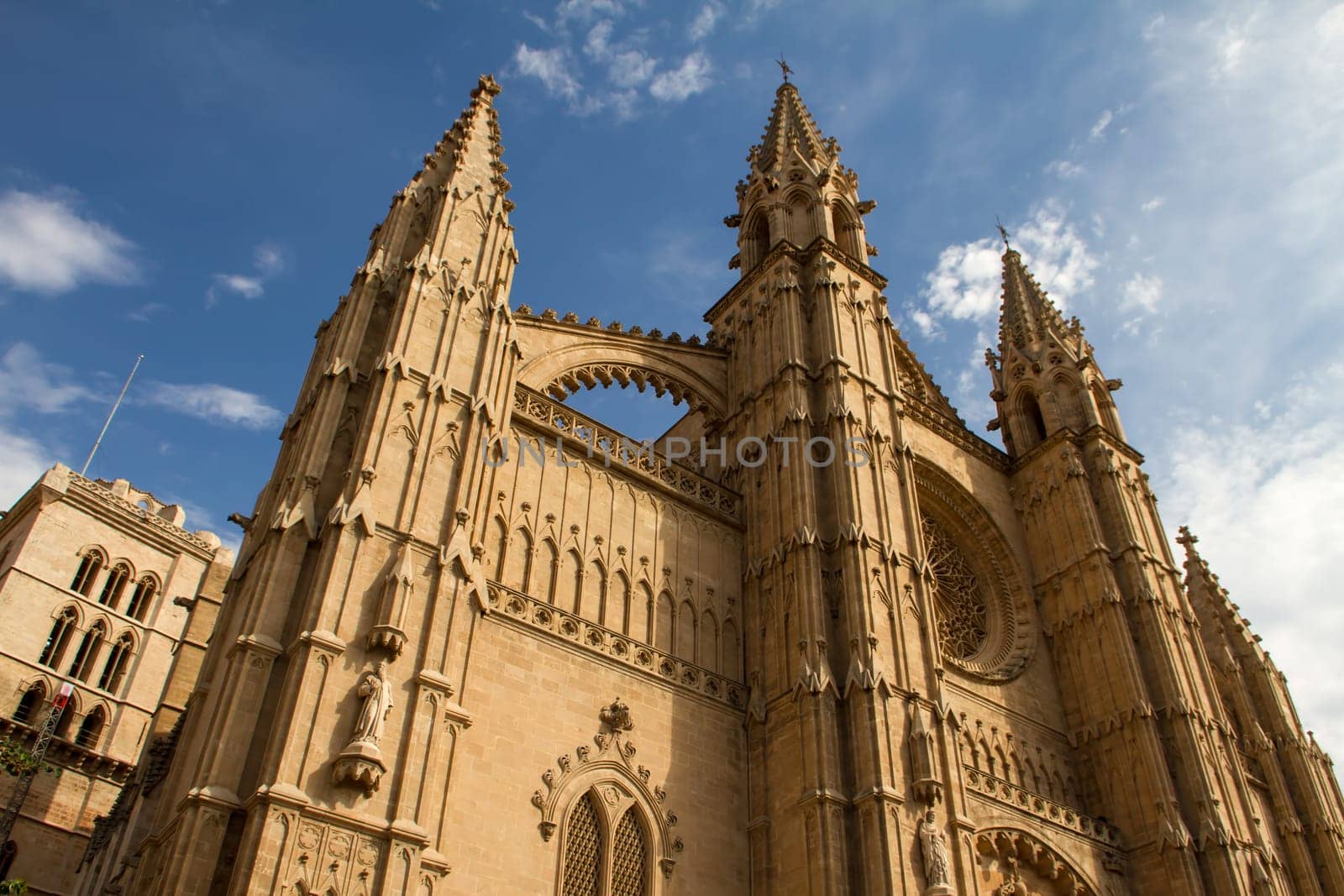 Cathedral La Seu in Palma de Mallorca.