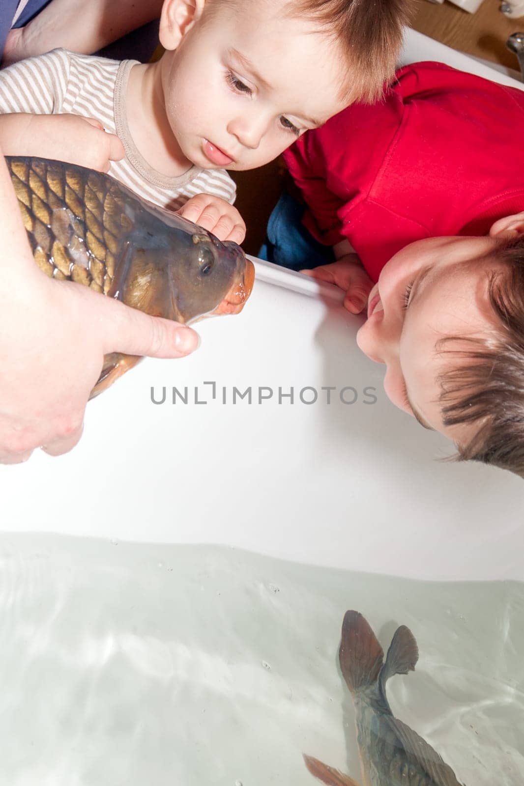 women and sons viewing christmas carp