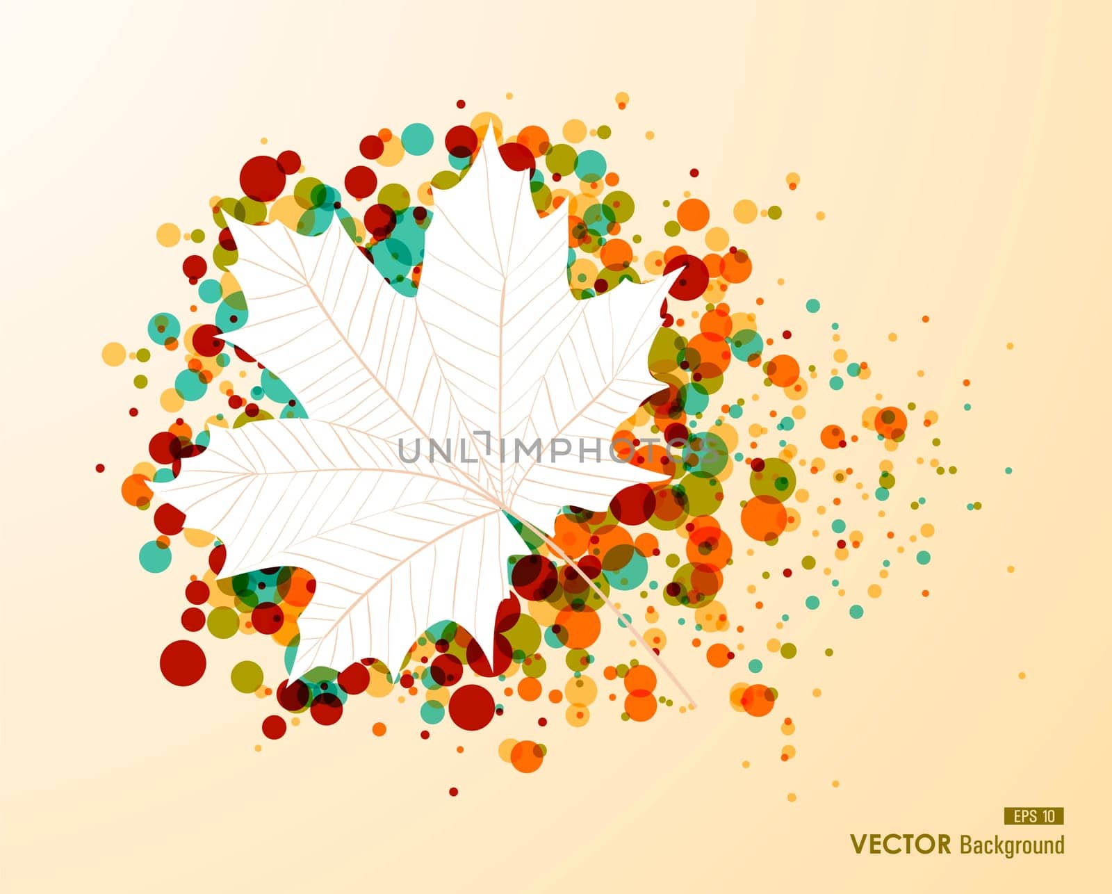 Autumn leaf shape with colorful transparent bubbles background. EPS10 file with transparency for easy editing.