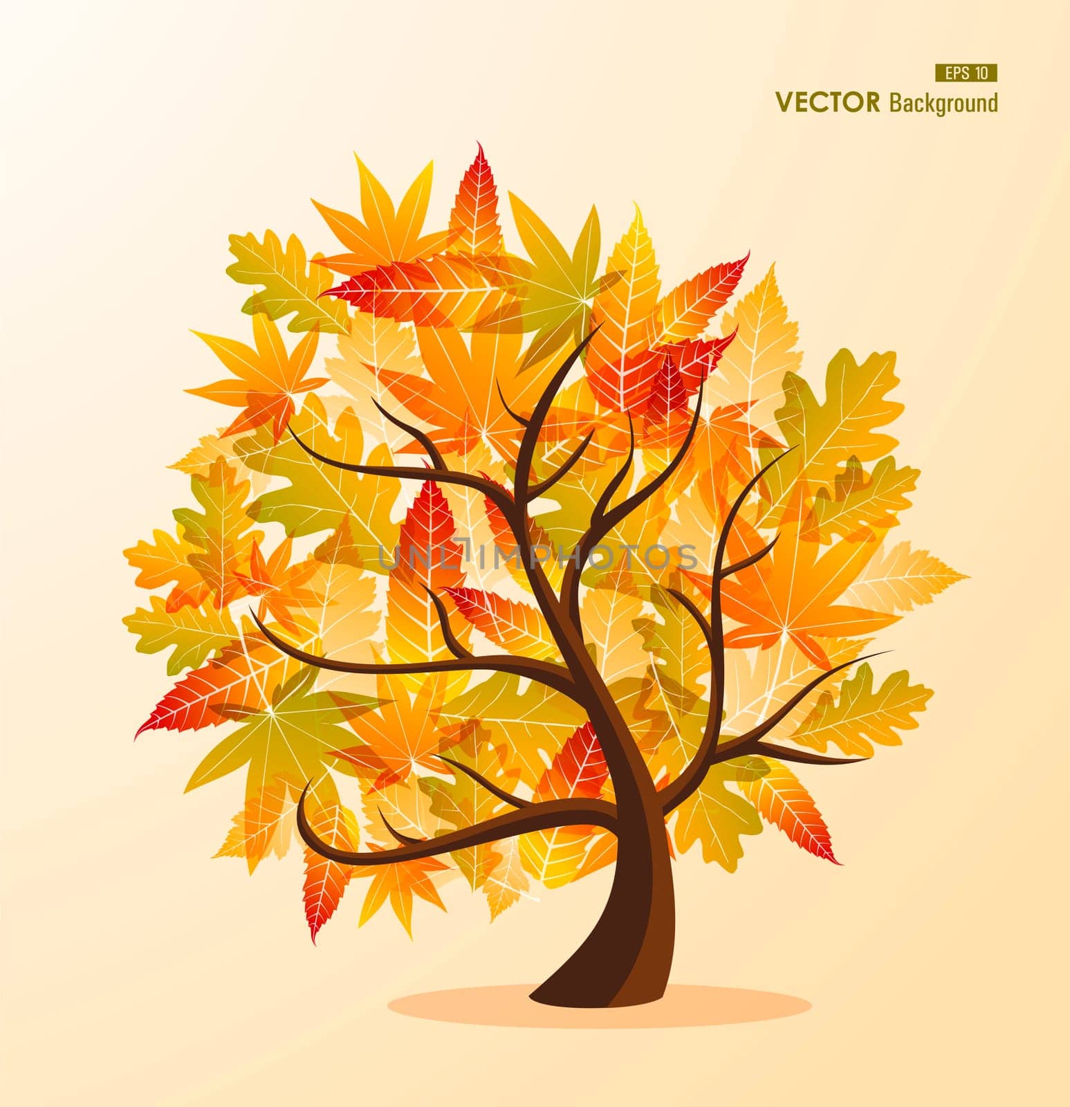 Autumn season tree shape transparent leaves background. EPS10 file with transparency for easy editing.