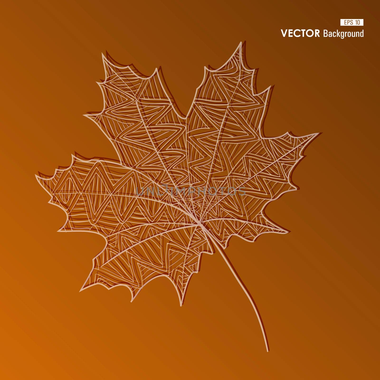 Hand drawn vintage leaf with small lines inside. Autumn season concept background. EPS10 Vector file in layers for easy editing.