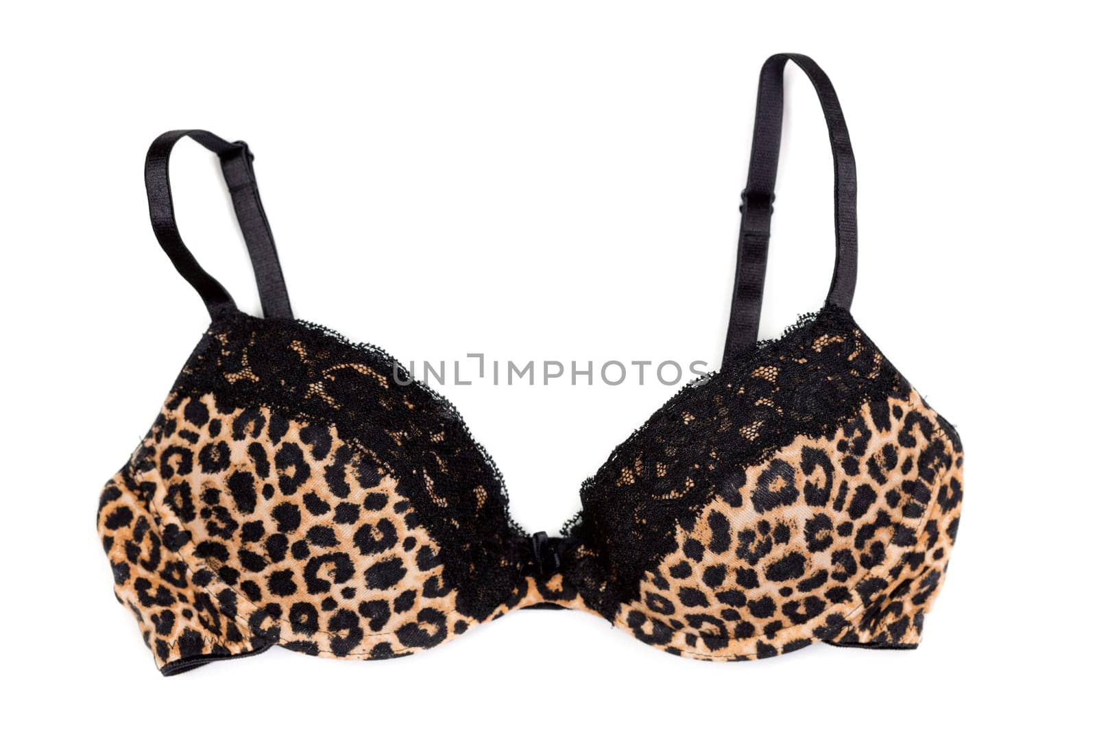 leopard print bra isolated on white background