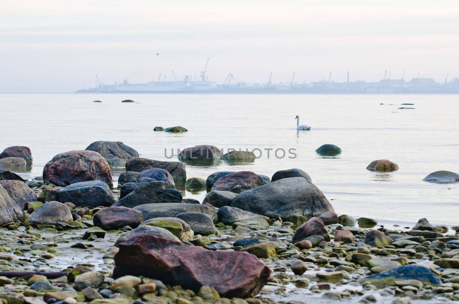 Stony coast of Baltic sea early in the morning