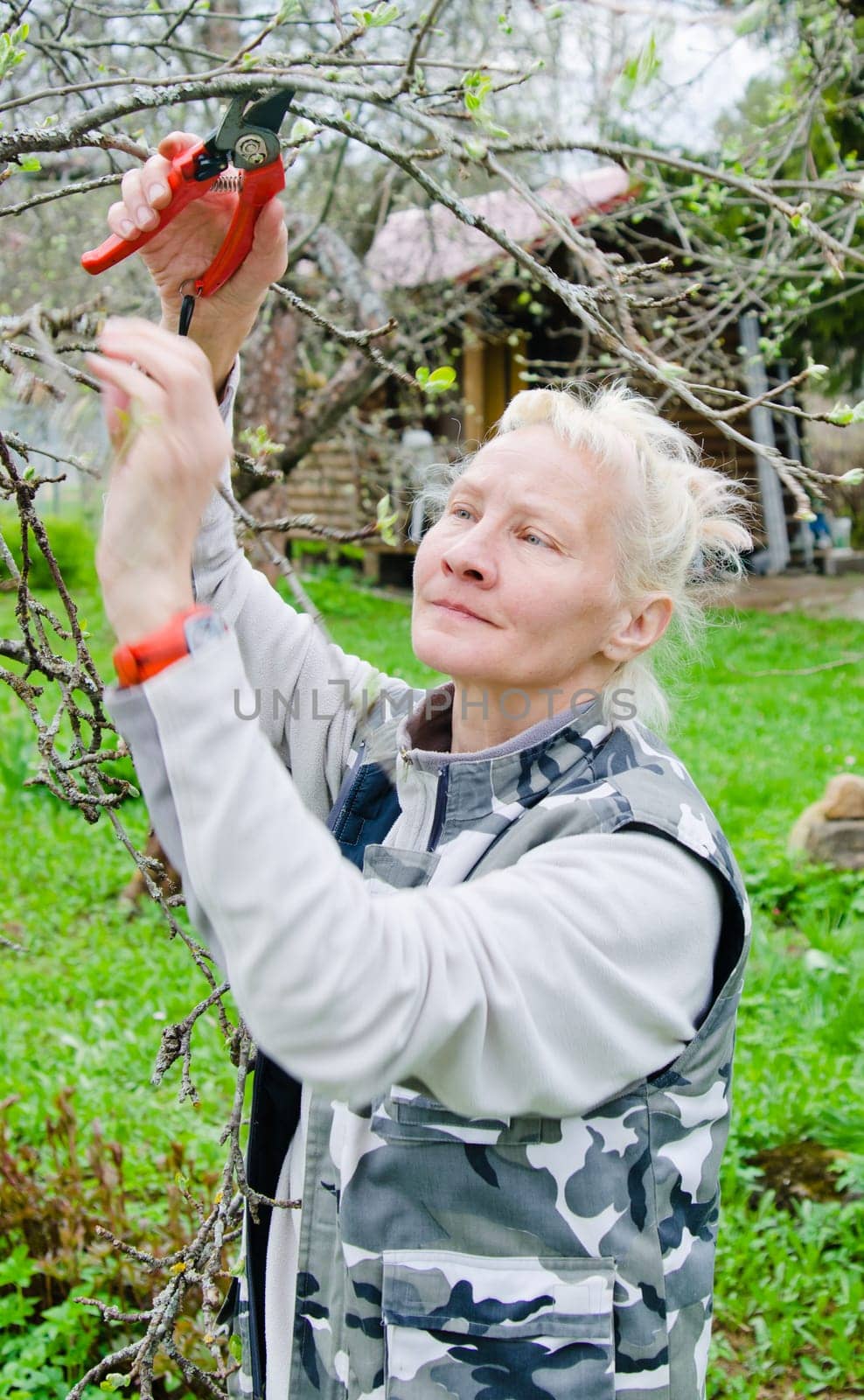 Woman cuts a branch at an Apple-tree, a spring in the garden