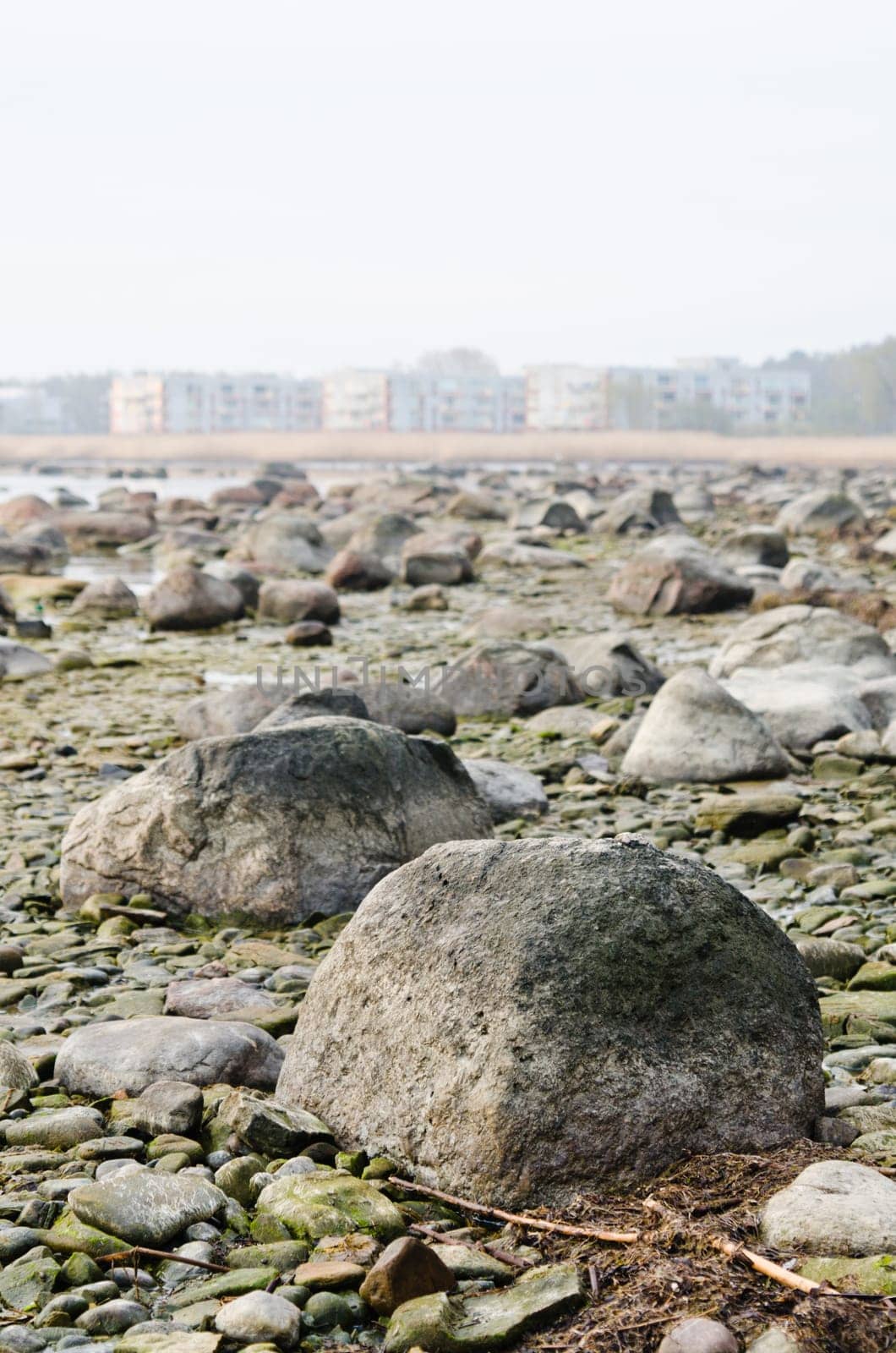 Stony coast of Baltic sea early in the morning