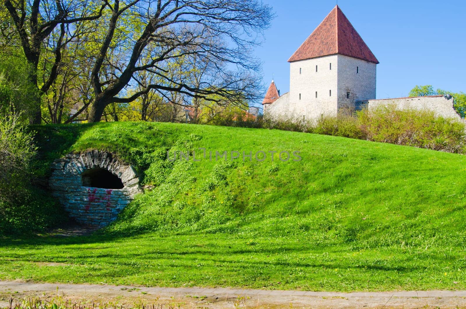 Spring in park of Tallinn