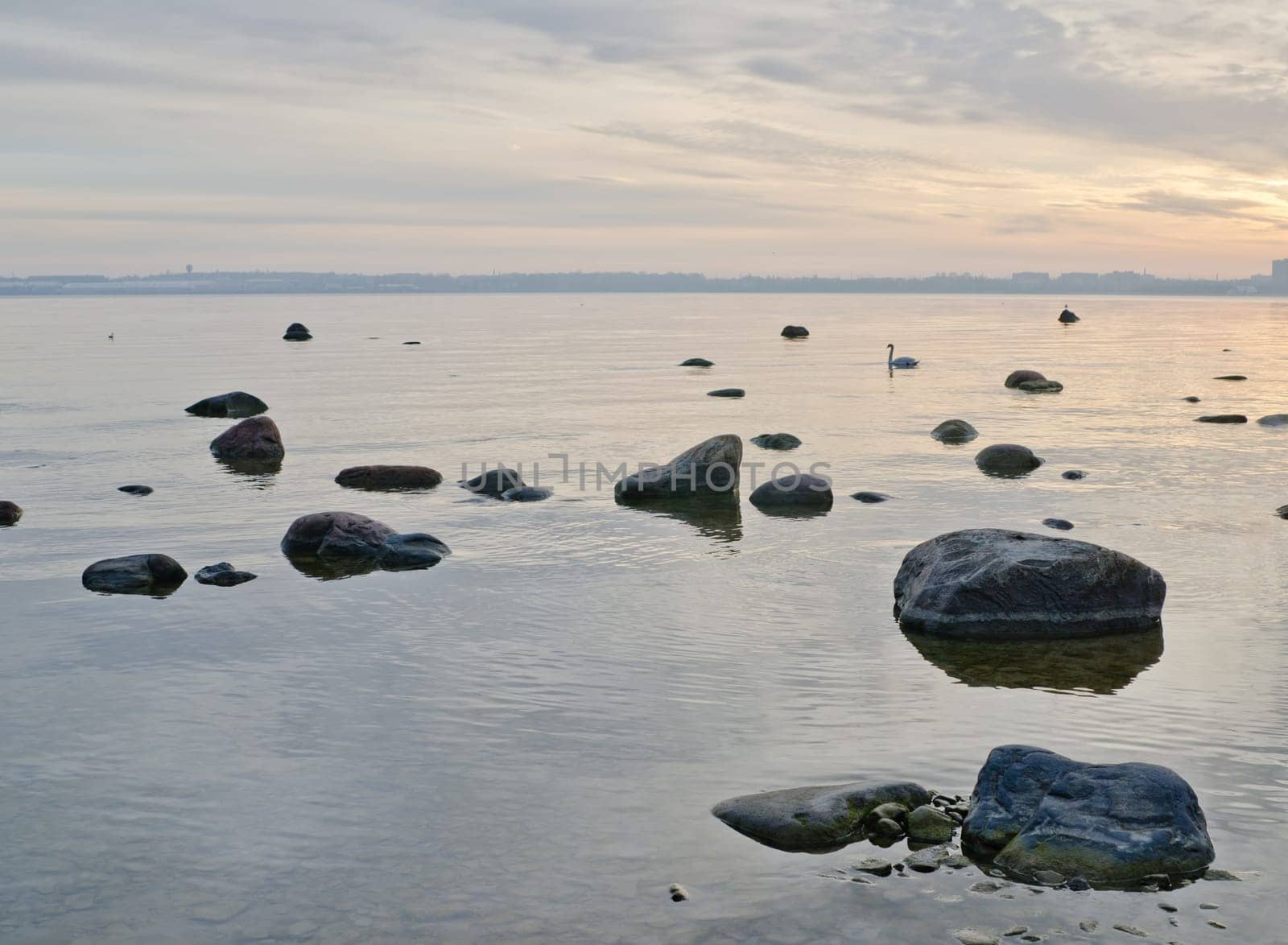 Stony coast of Baltic sea early in the morning