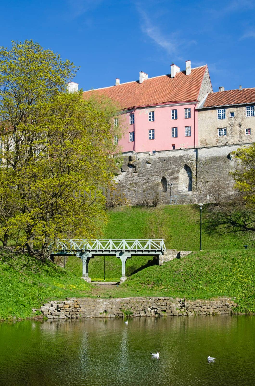 Spring in park of Tallinn
