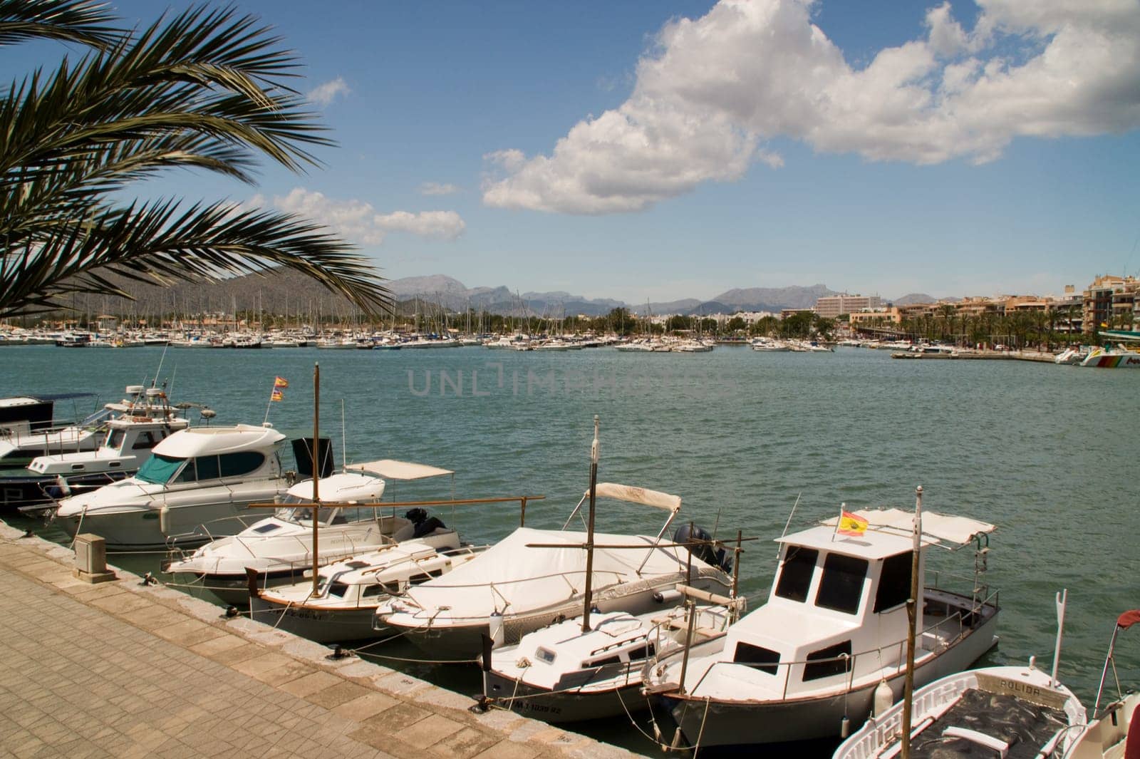 Fishing boats in the port of Alcudia in Mallorca
