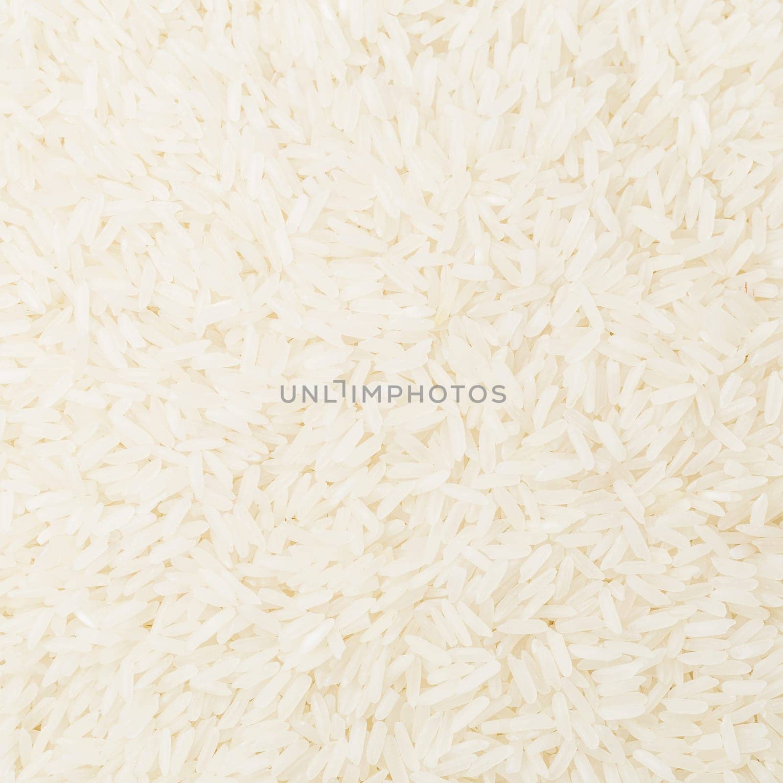 Uncooked white rice close up