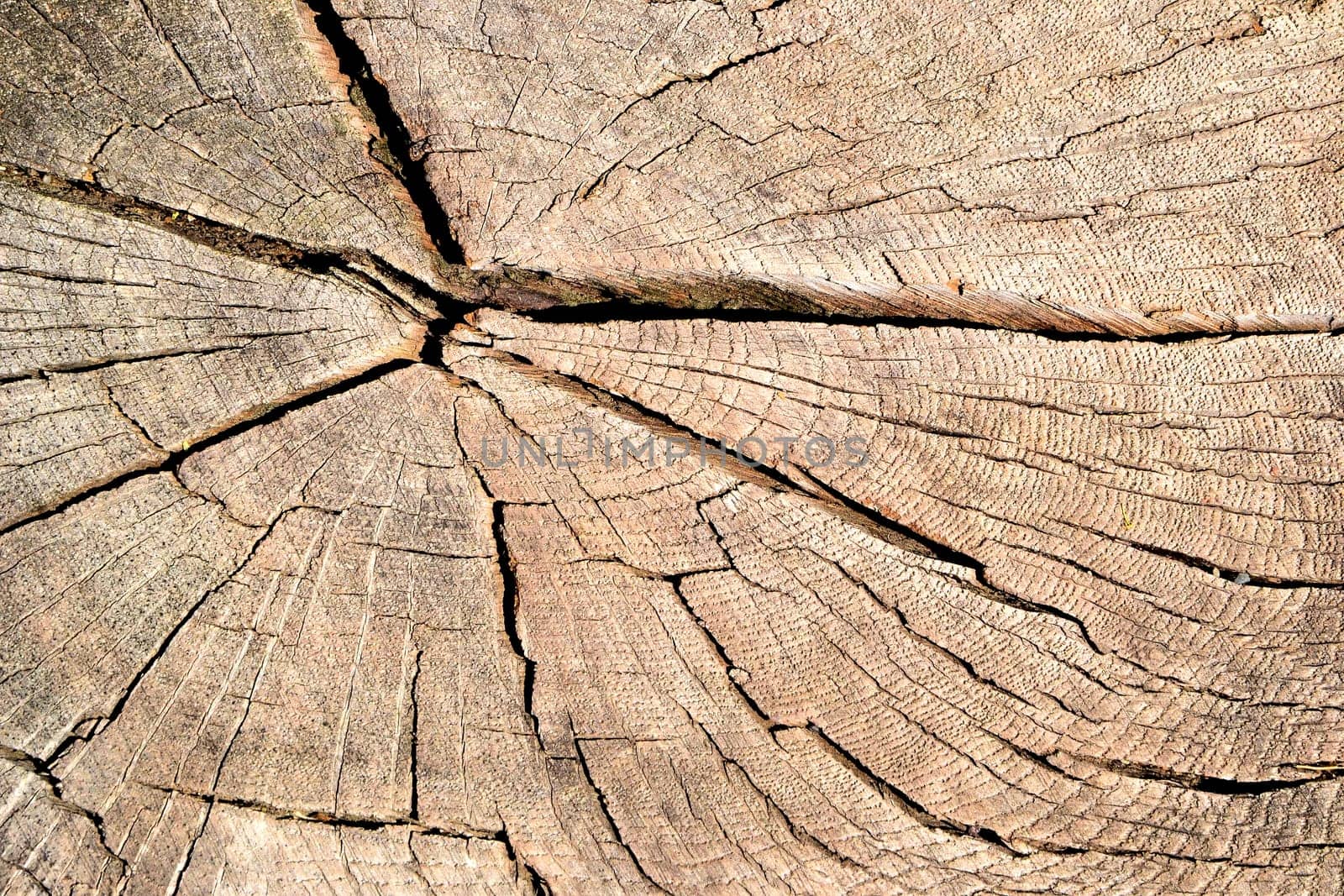 weathered wood