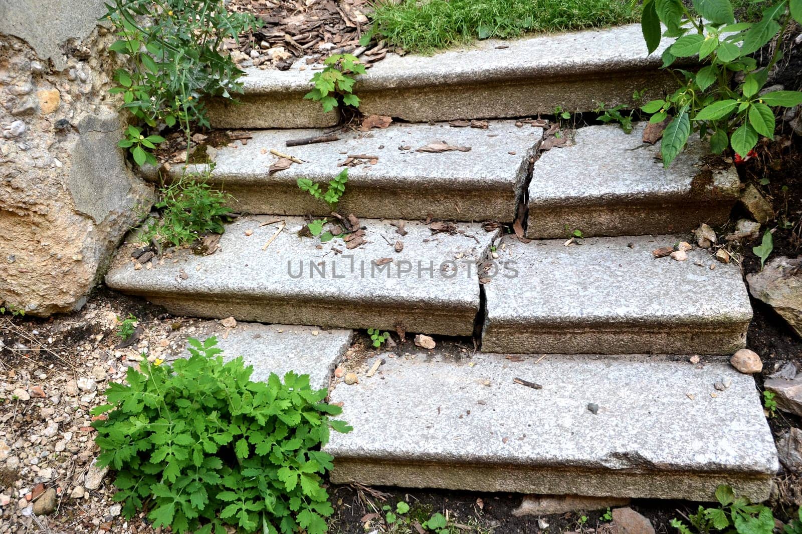 old overgrown staircase in Karlovy Vary in the Czech Republic