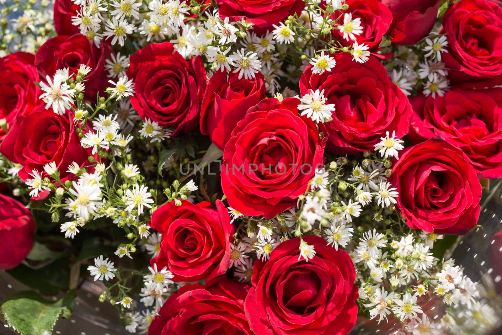 Bouquet of red roses with baby's breath flowers top view close up