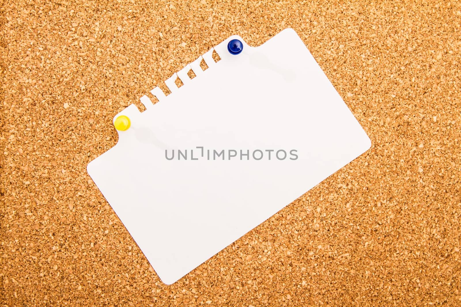 Cork board with blank paper pinned up.