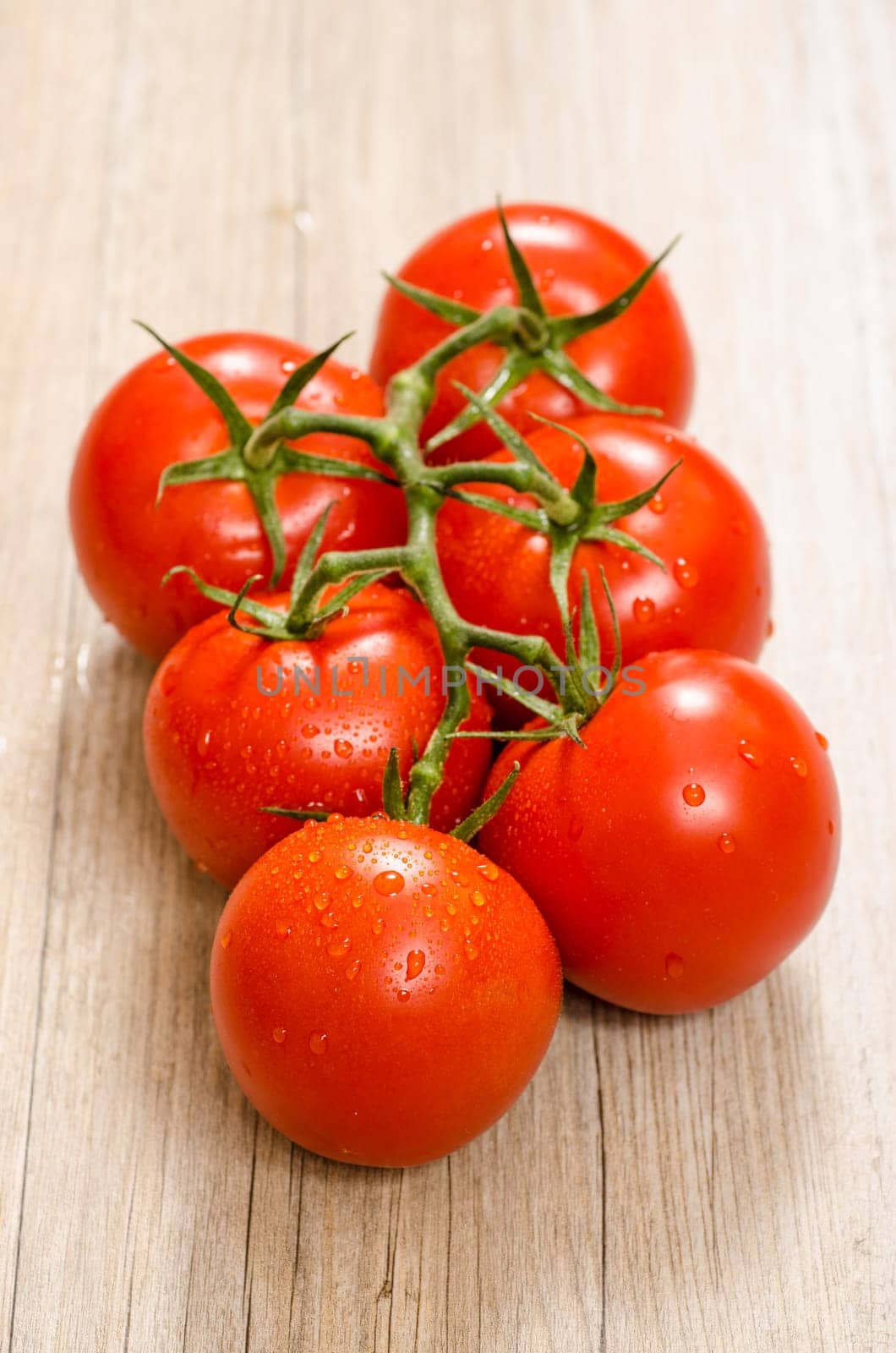 Wet vine tomatoes on a panicle in portrait format