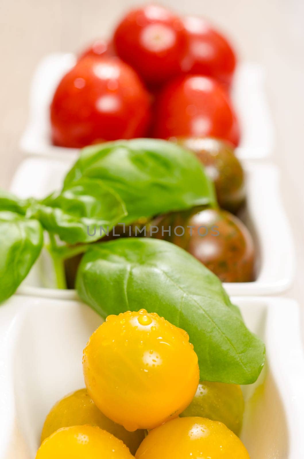 Wet tomatoes and basil in portrait format