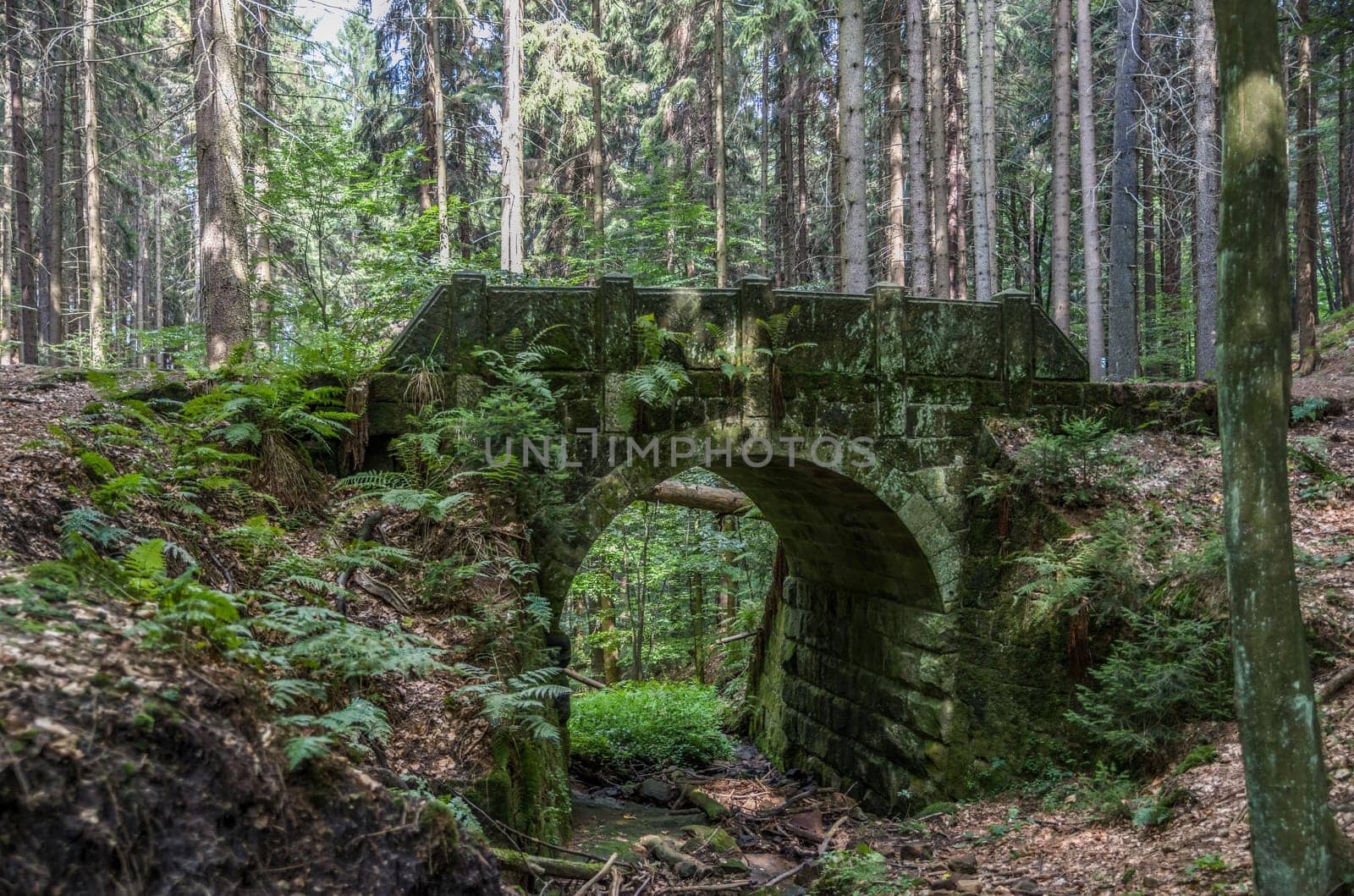 Bridge arch