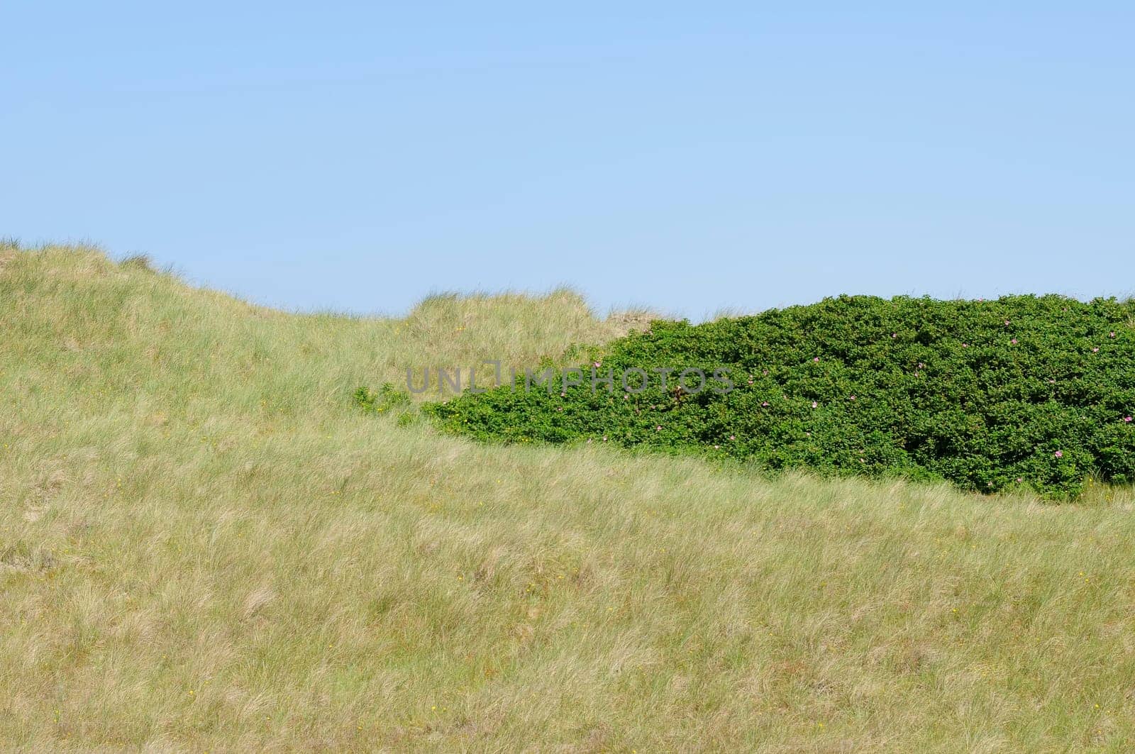 Sylt-Uthörn