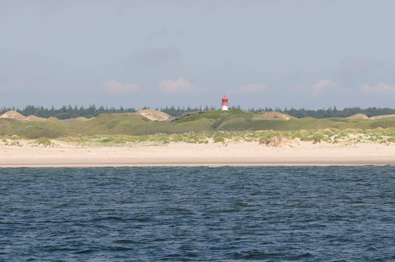 Amrum
