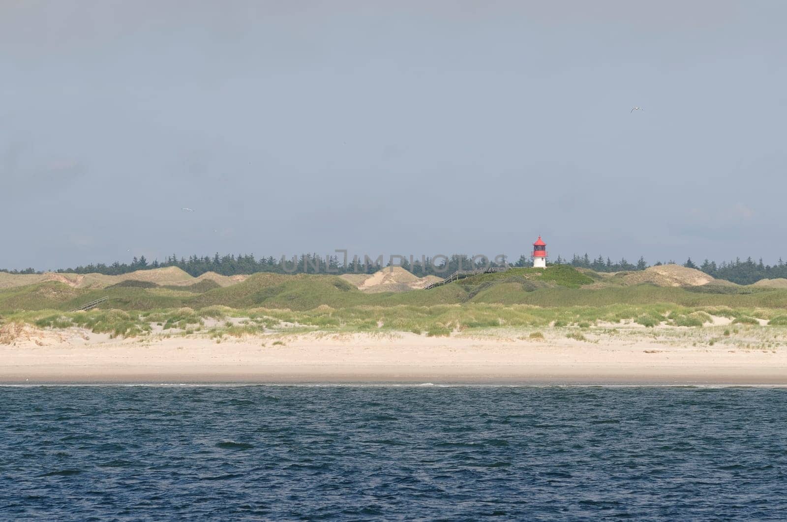 Amrum