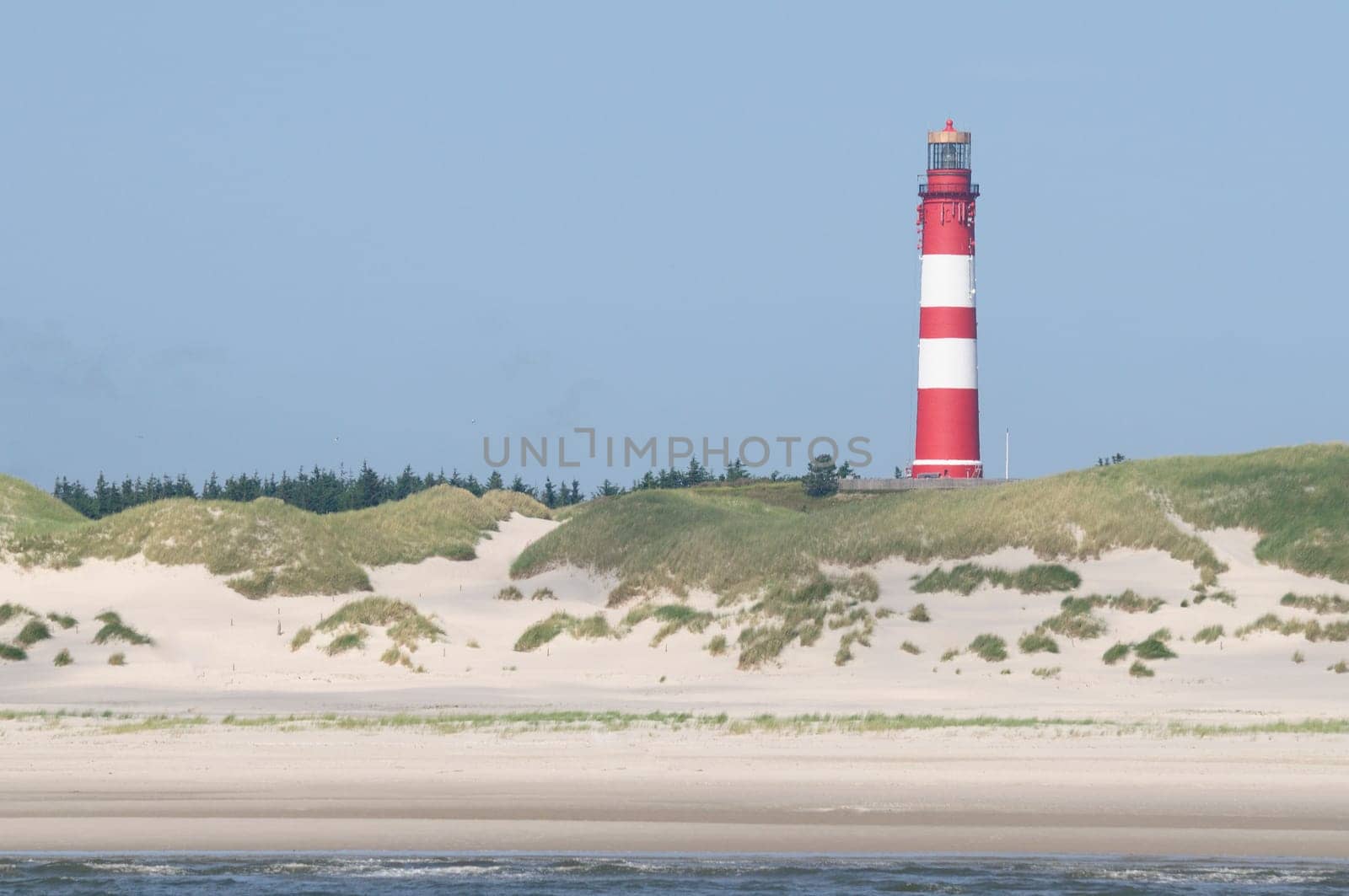 Amrum