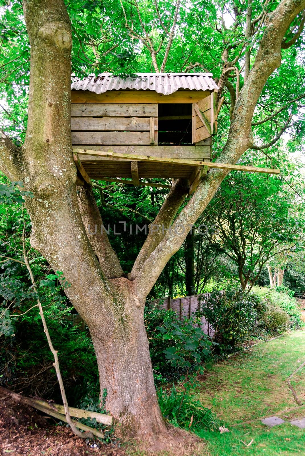 tree house in Tintagel in Cornwall