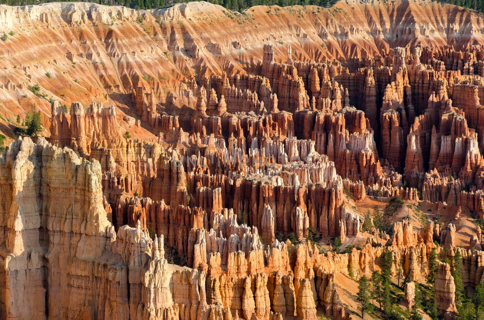 Bryce Canyon National Park in Utah