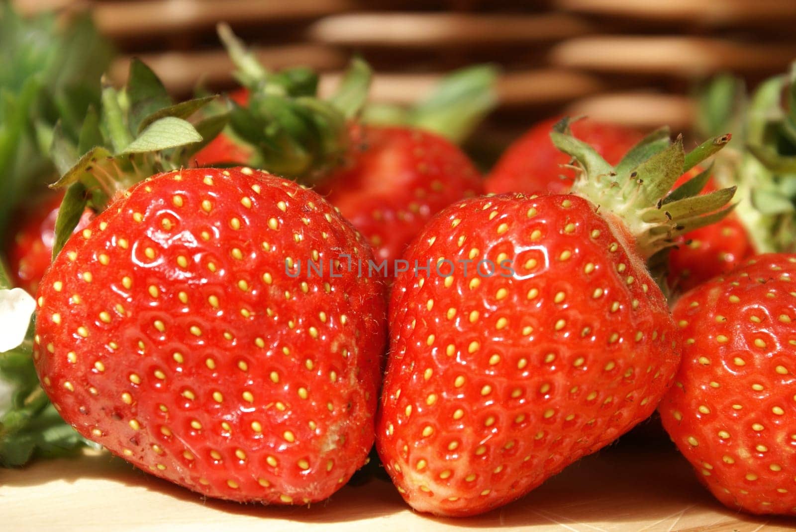 Fresh strawberries