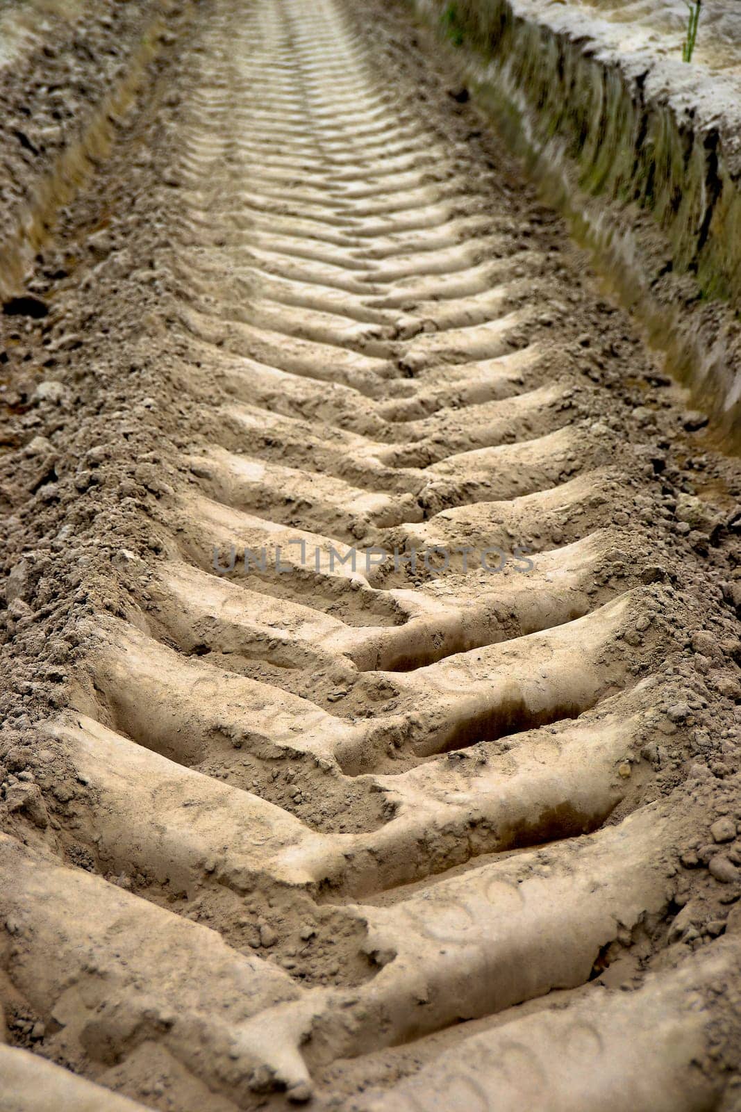 Tyre track on an asparagus field