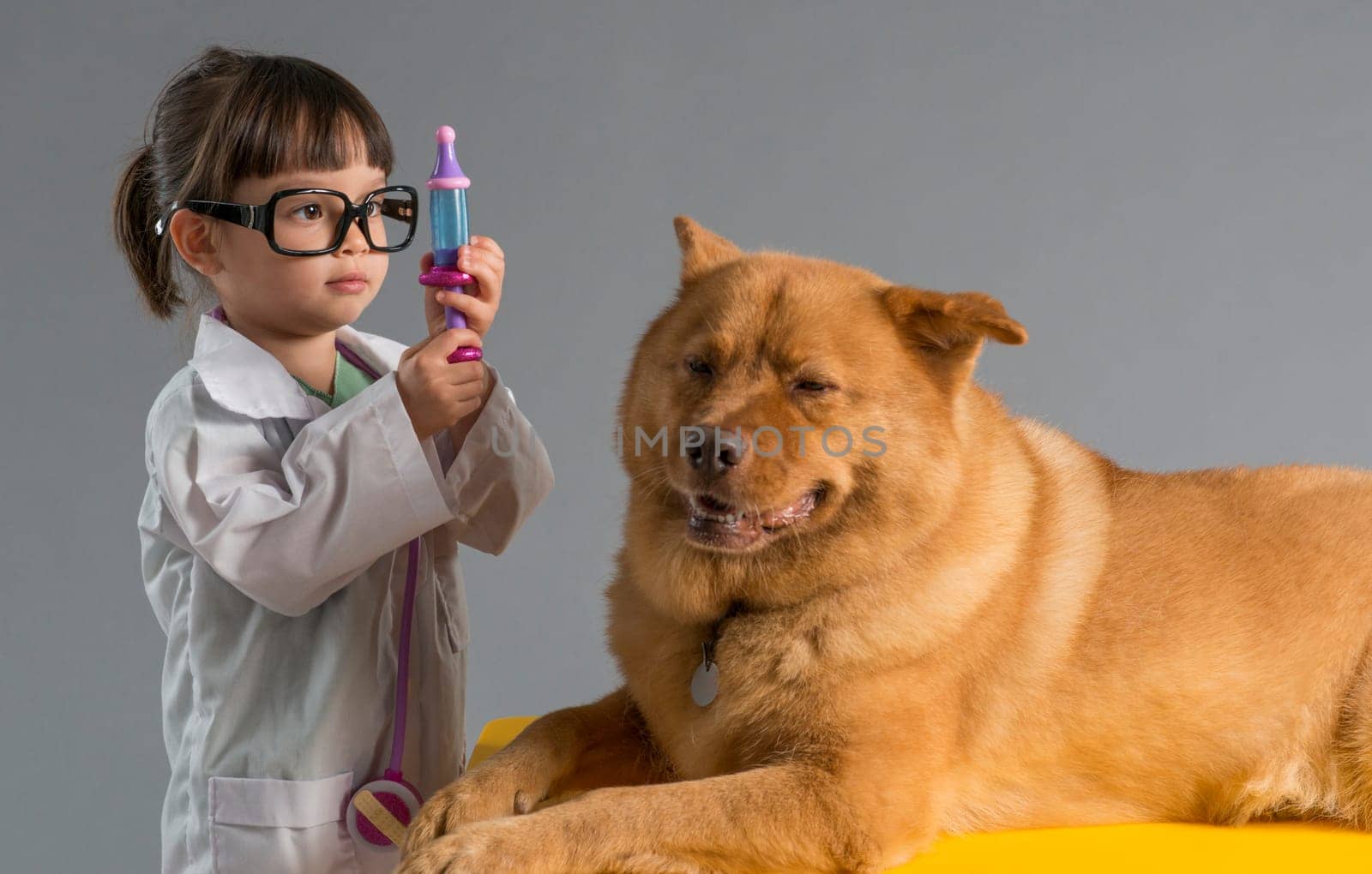 Girl playing veterinarian with dog