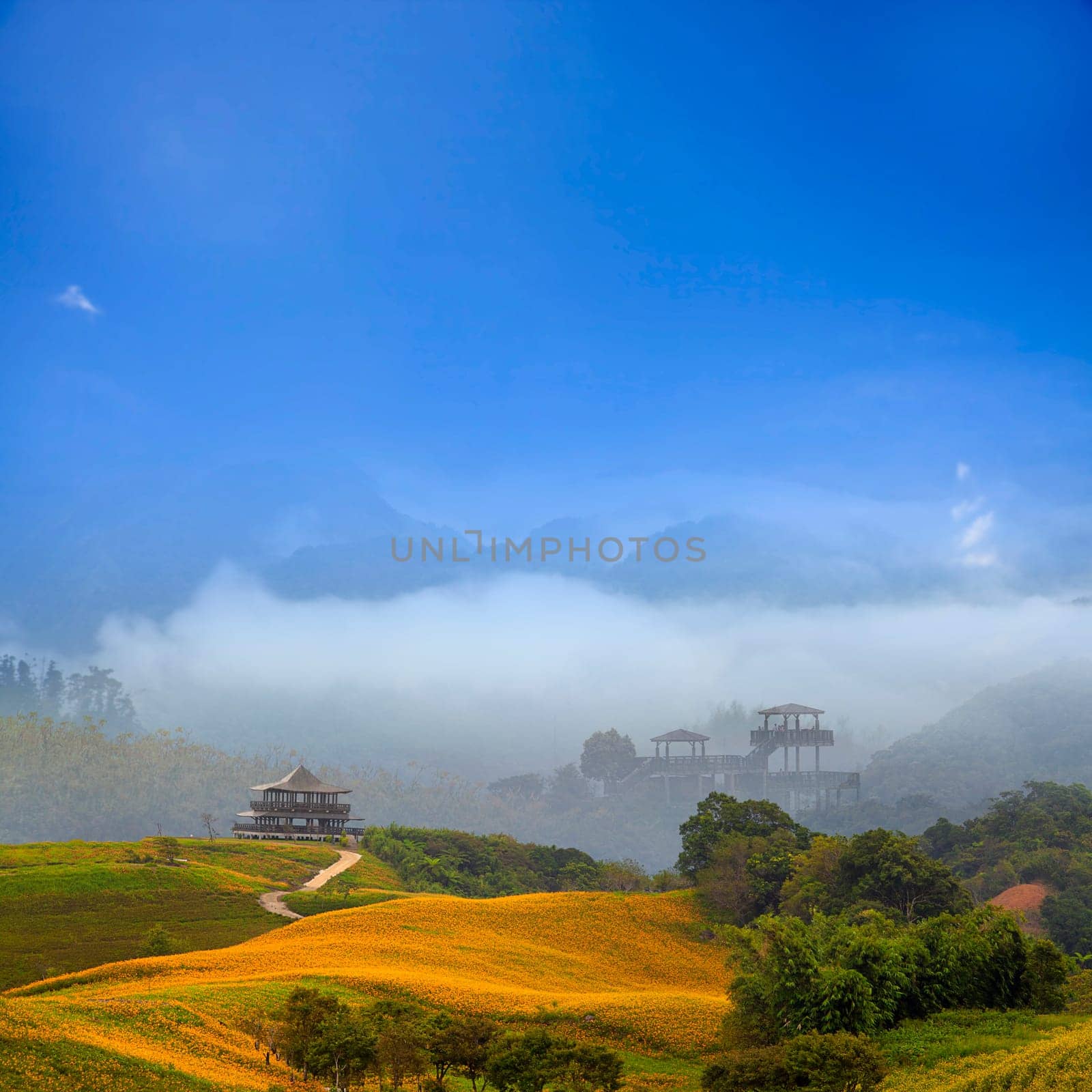 Beautiful landscape for adv or others purpose use