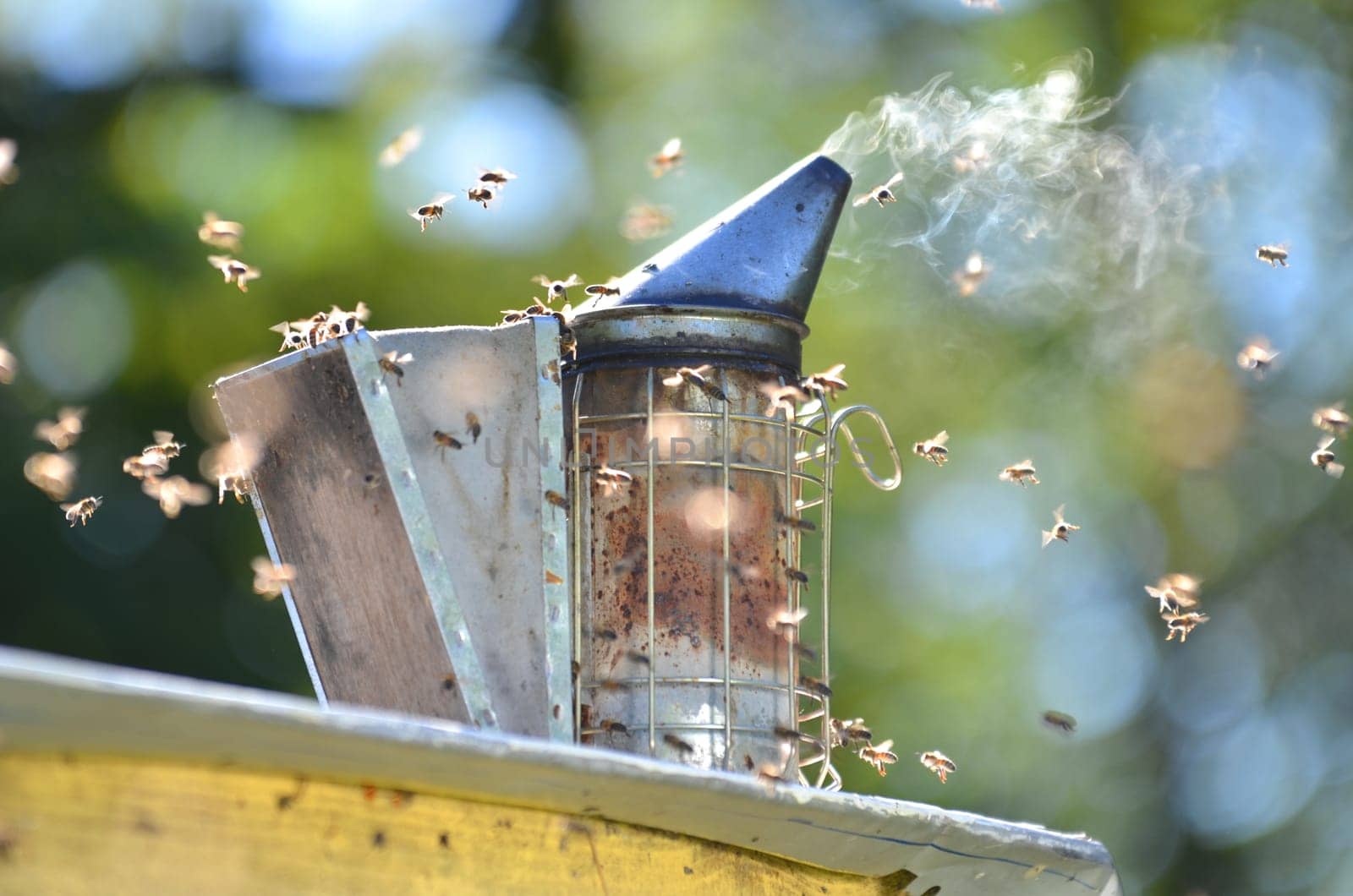 bee smoker