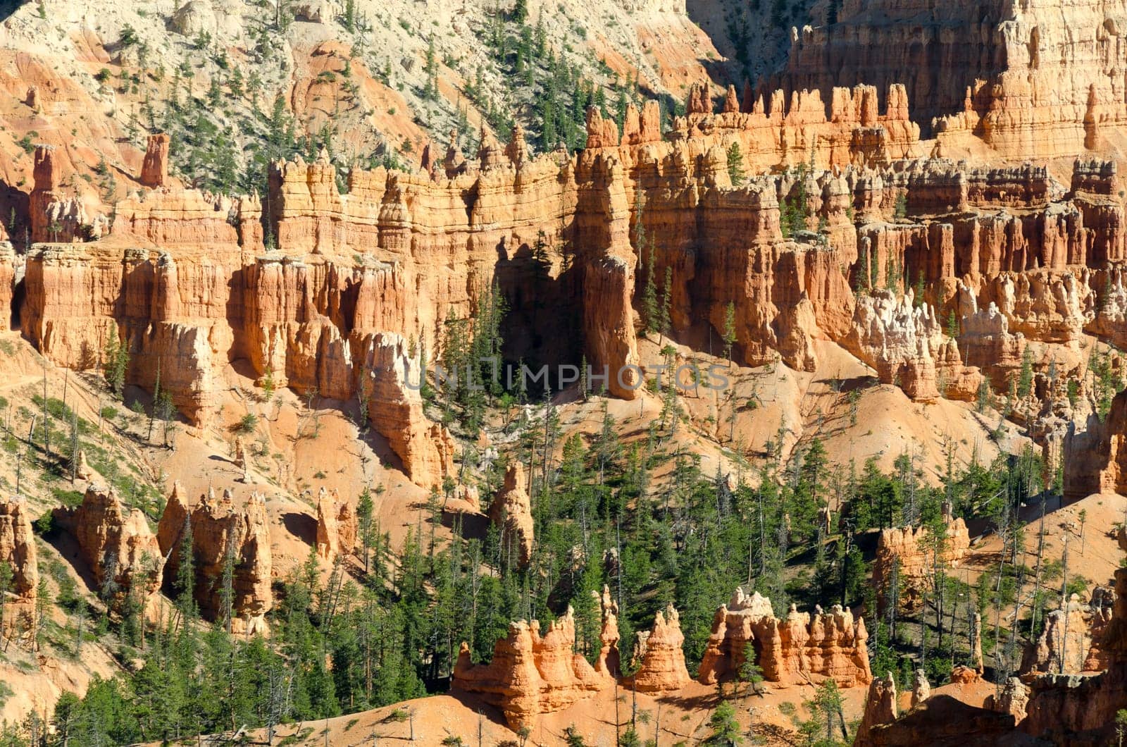 Bryce Canyon National Park in Utah in America