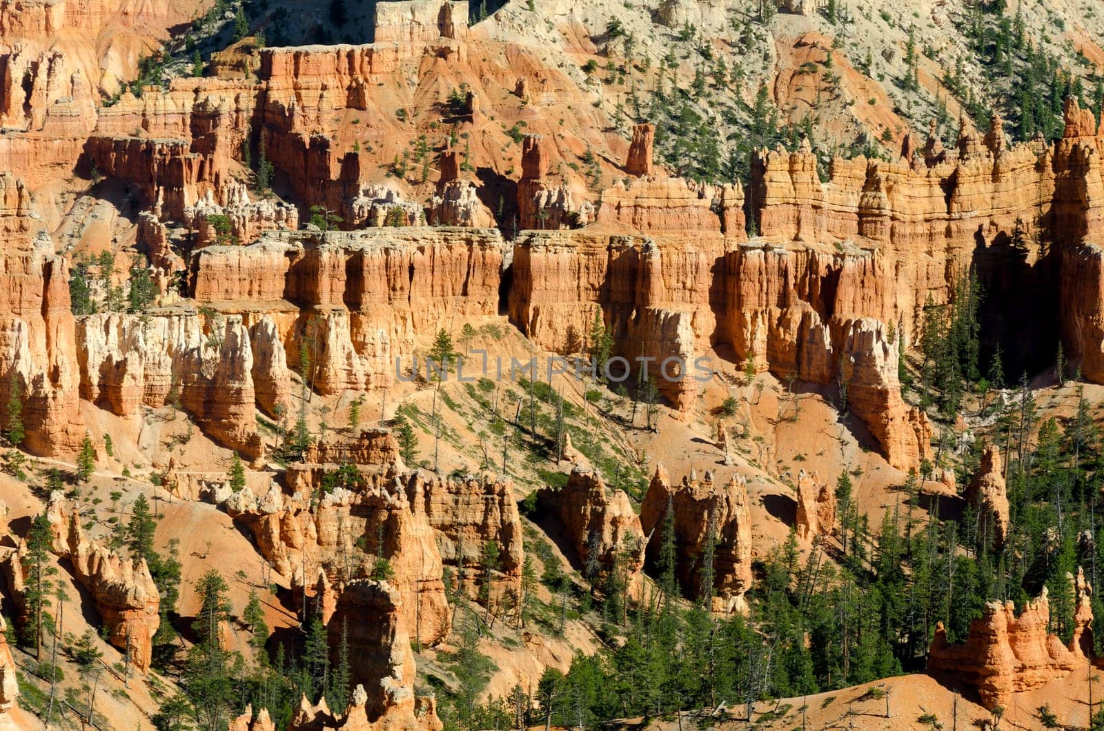 Bryce Canyon National Park in Utah in America